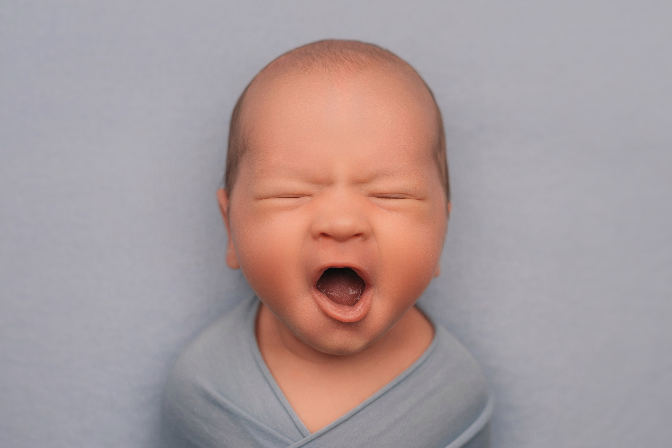 Лев. Фотограф новорожденных Белгород