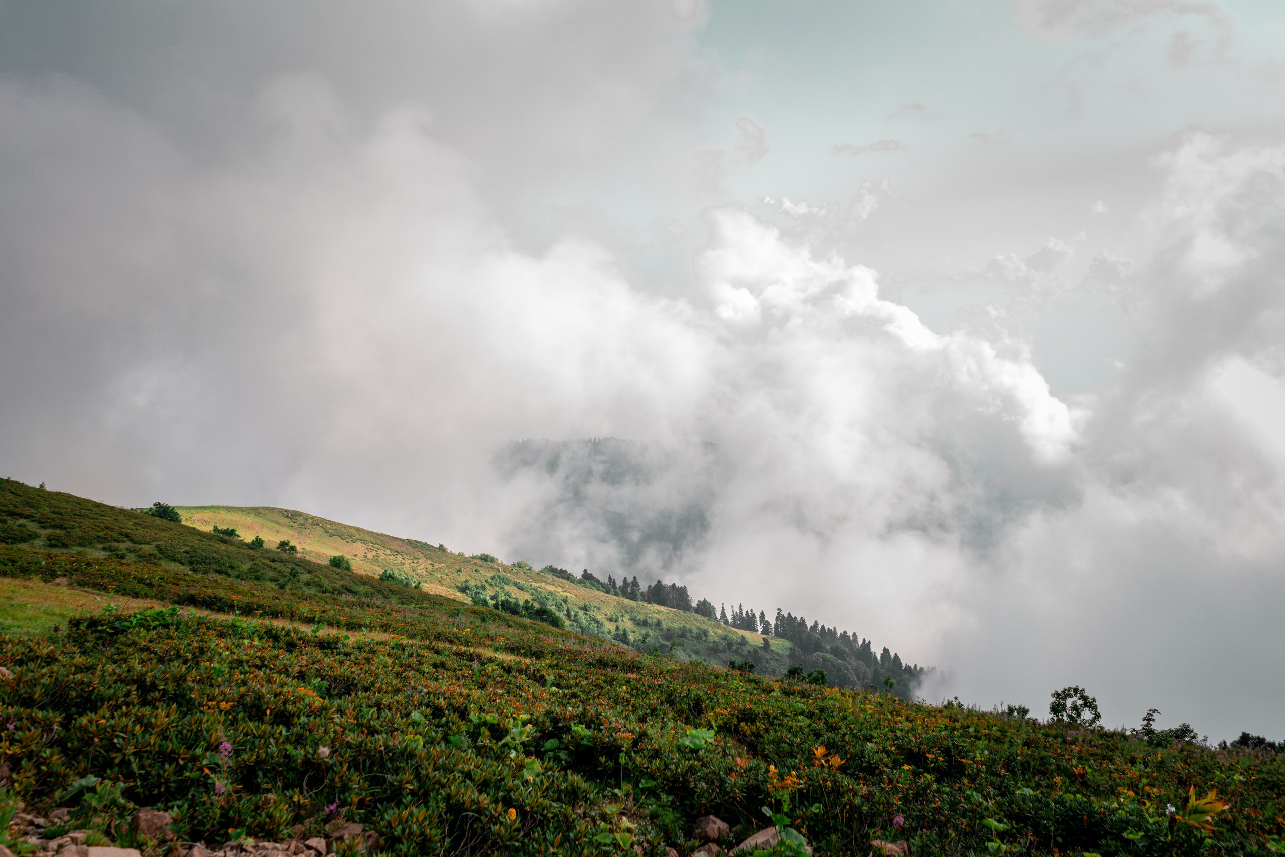 Сочи. Фотограф Александра Волкова | Волгоград