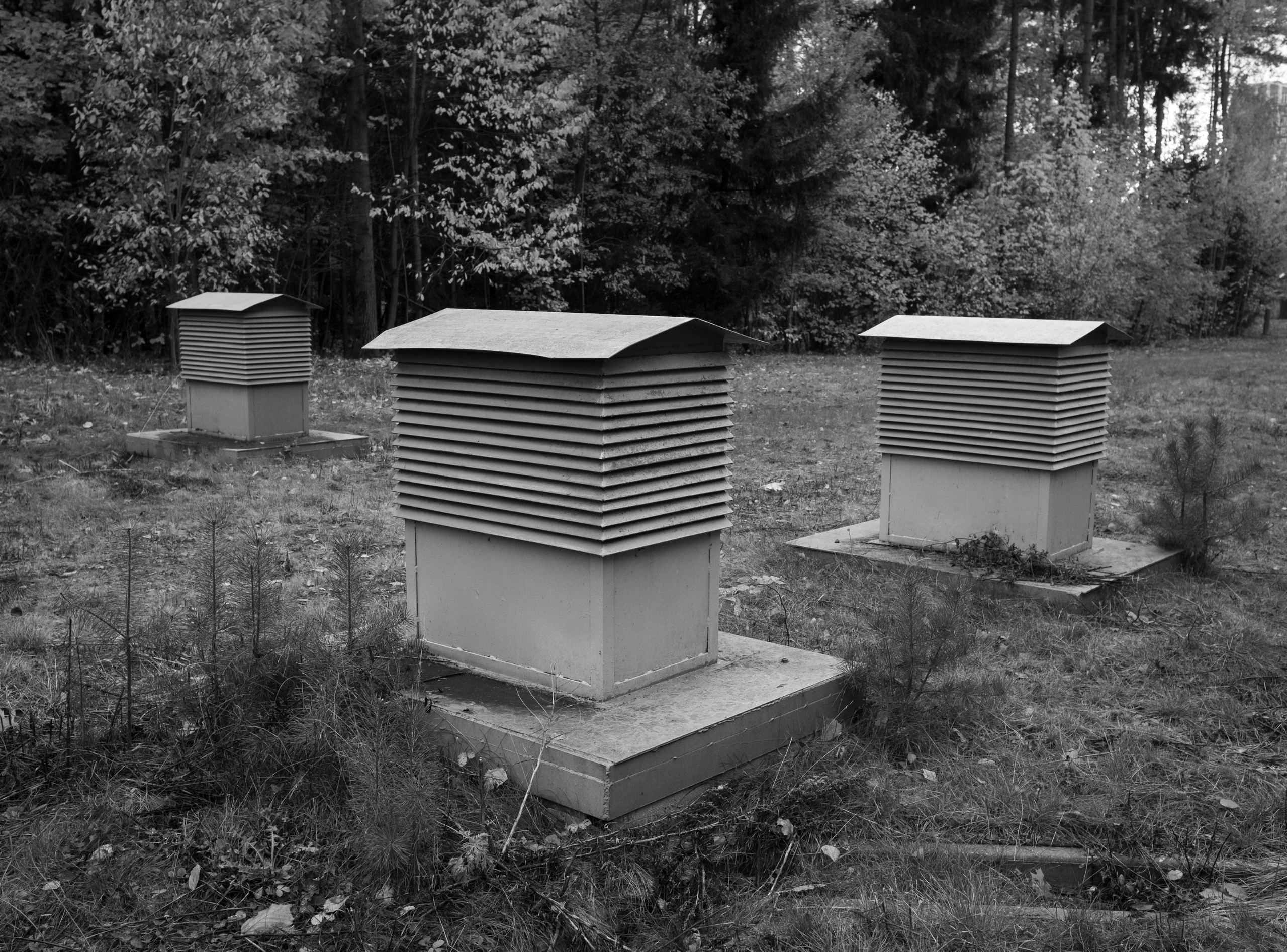 Blog. Aliaksandra Svirelina