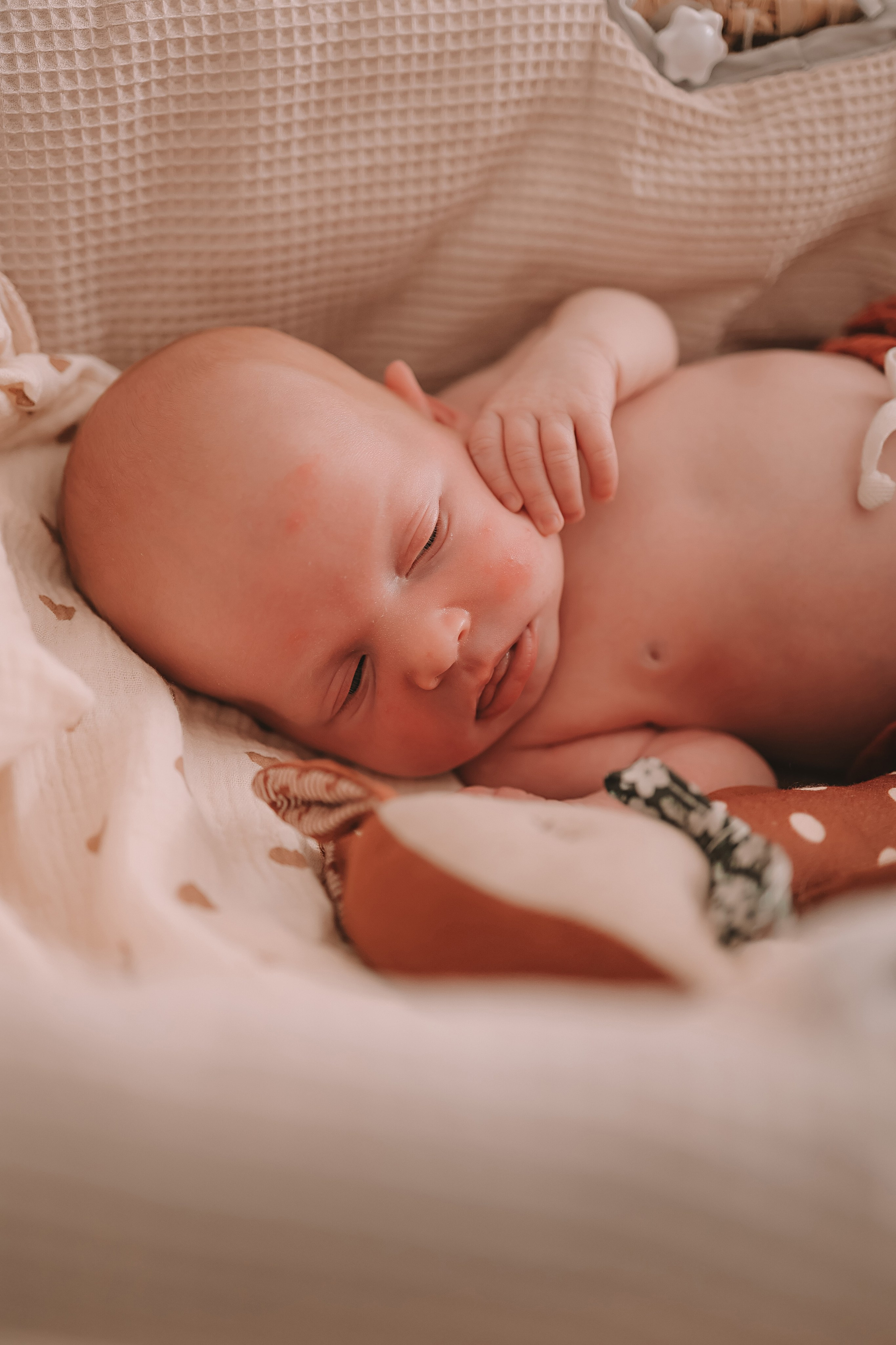 Ефим, 2 недели. Семейный фотограф Тюмень, фотограф на роды Салмина Мария