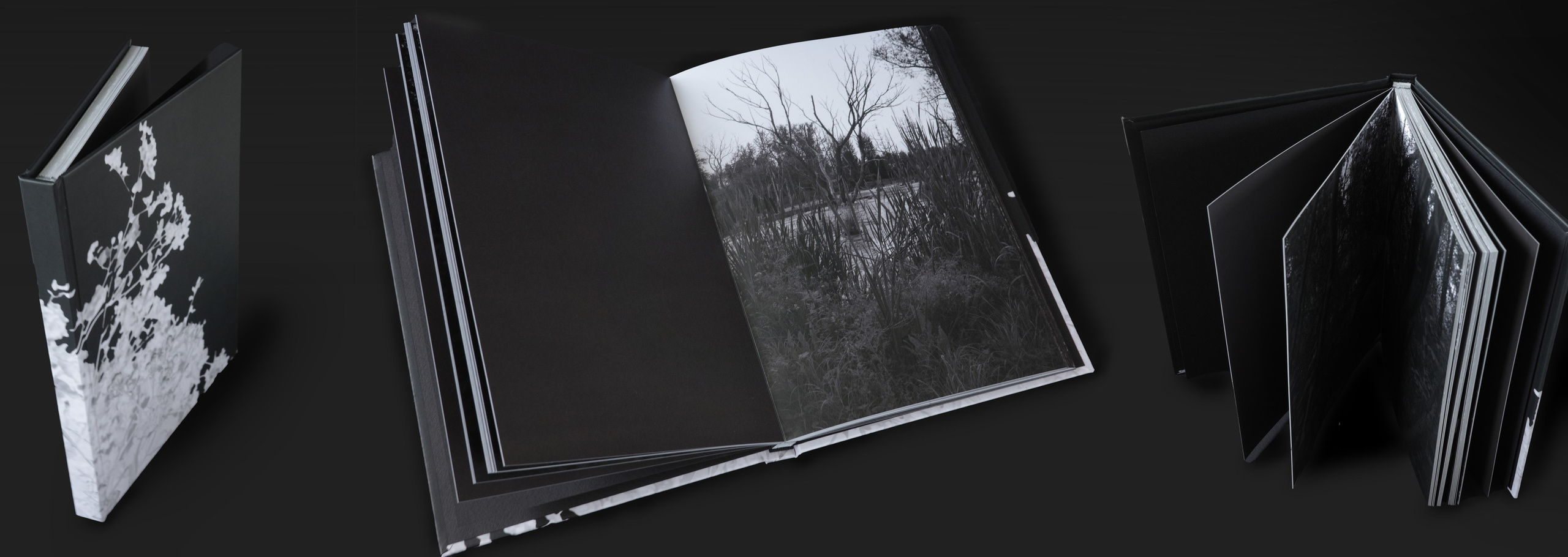 Непокорённая земля. Пылина Ирина — современная фотография