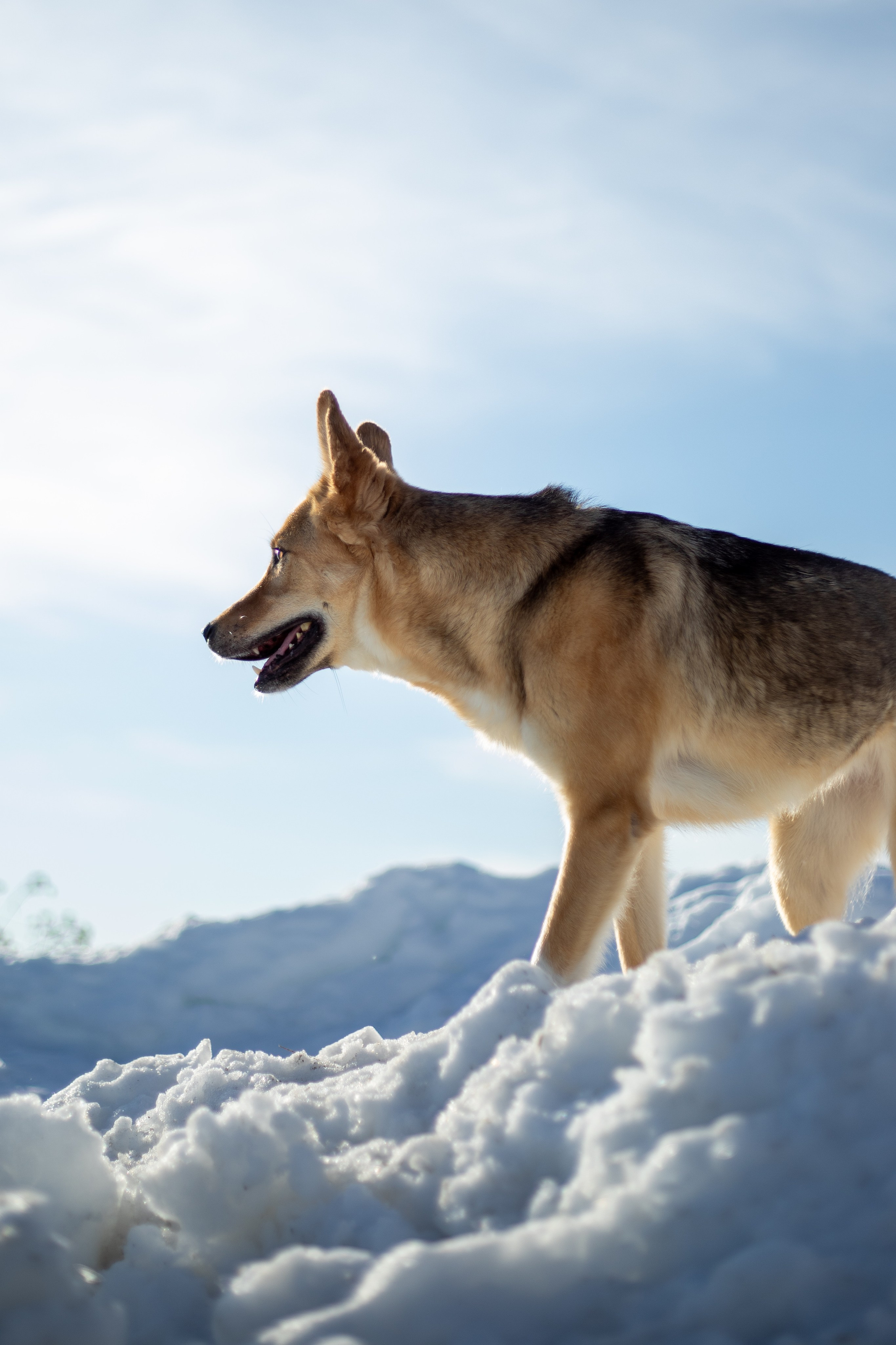 Семья. Фотограф в Перми Любовь Огородова | Авторские туры
