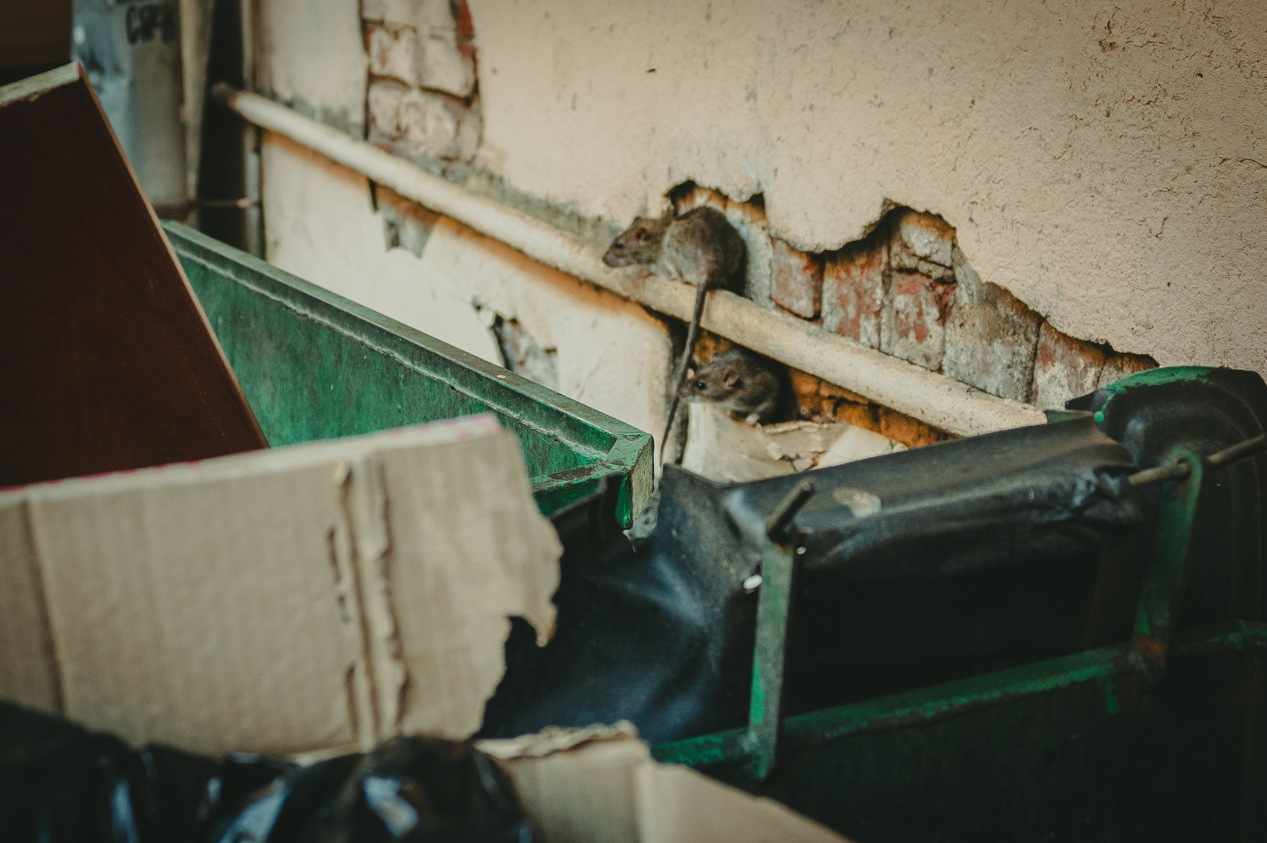 Питер. Фотограф Крещение Венчание Москва