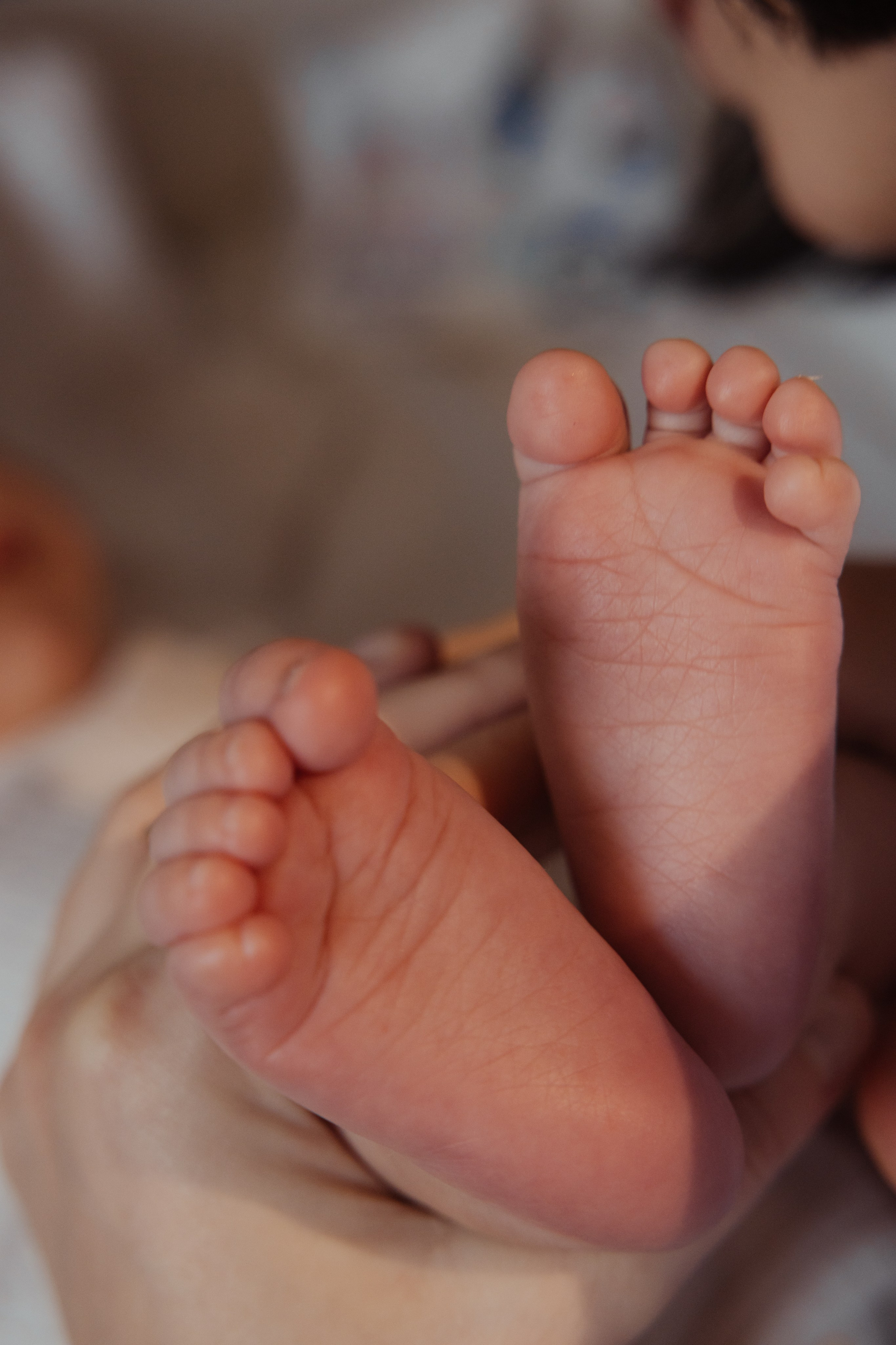 Андрей и Оксана 16.03.2025. Фотограф/видеограф в Санкт-Петербурге Динара Гольдина