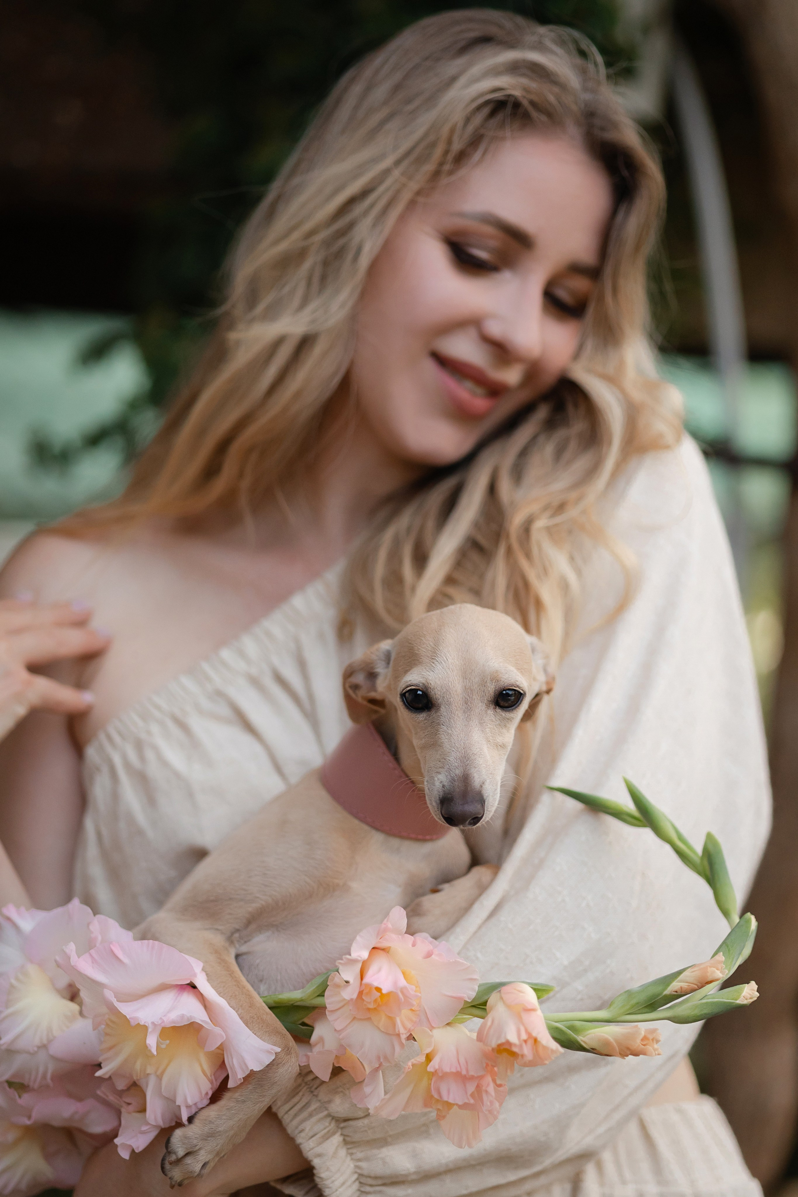 Asti Sapphire Adriana. Профессиональный питомник левреток РКФ/FCI ASTI SAPPHIRE 💎 Сочи|Санкт-Петербург