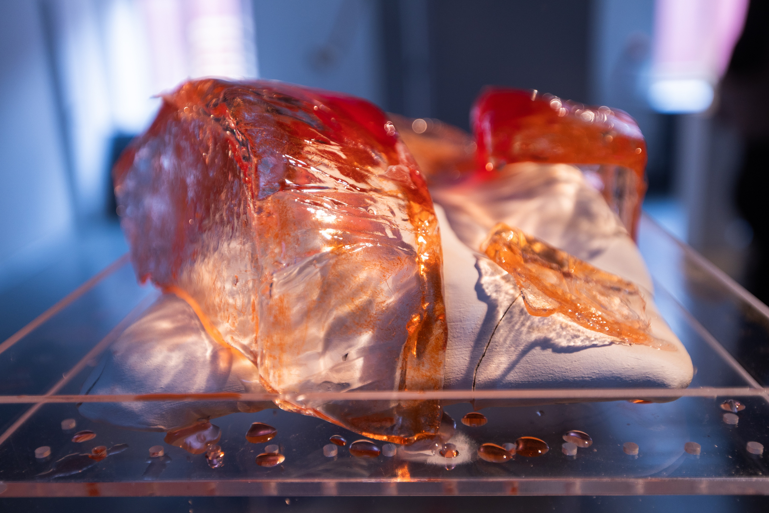 БВШД направление «современное искусство». Фотограф в Москве Десятова Ксения