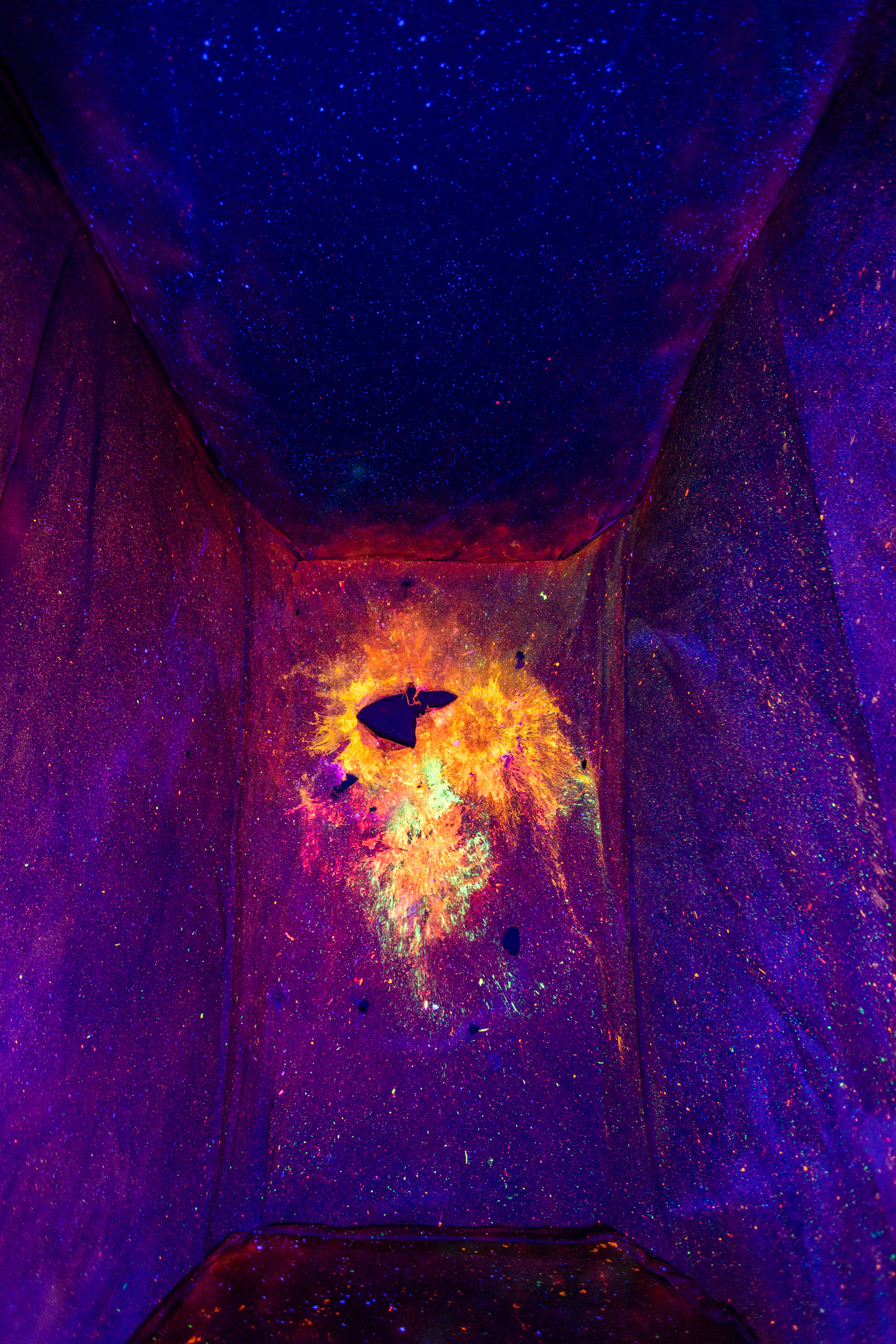 БВШД направление «современное искусство». Фотограф в Москве Десятова Ксения