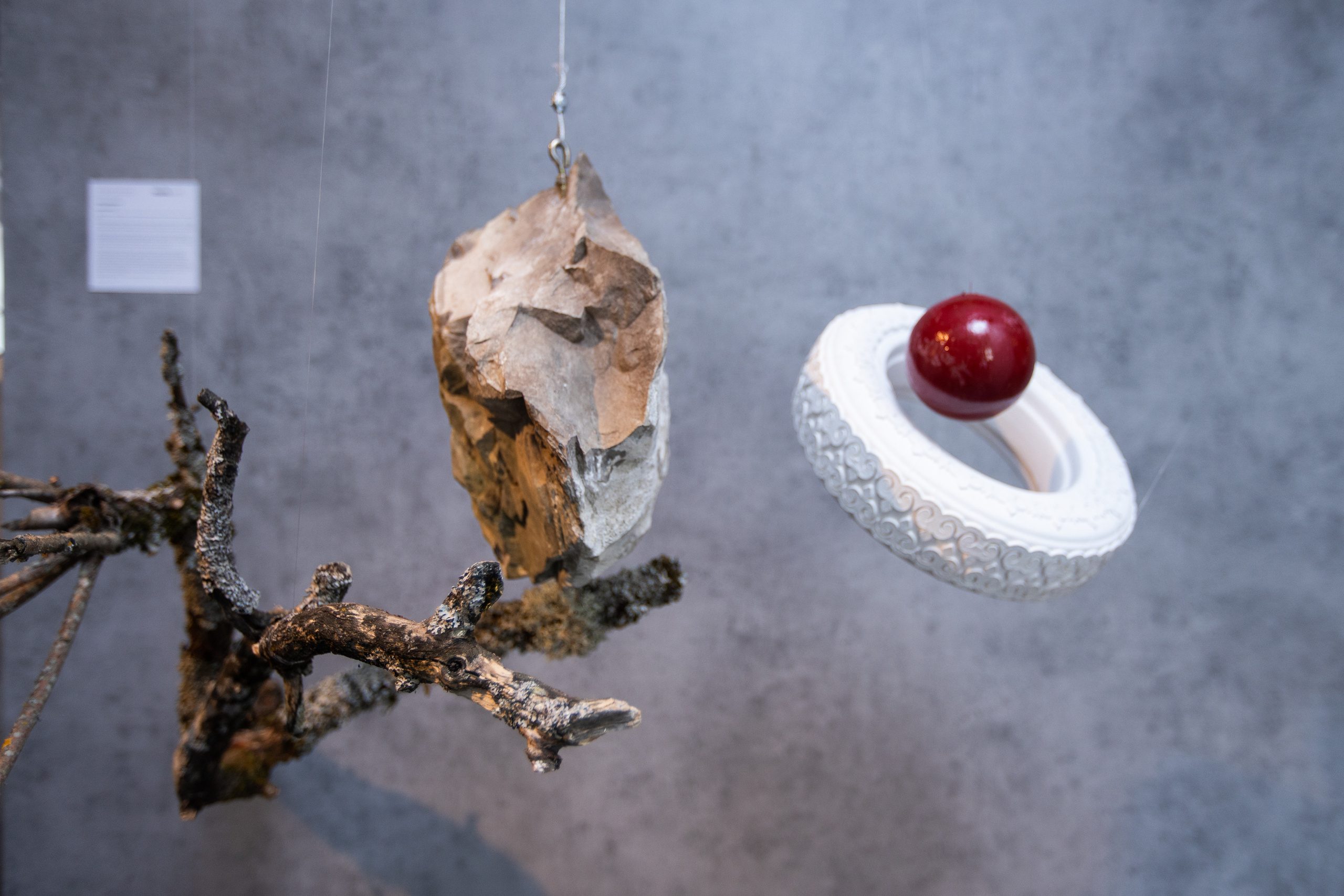 БВШД направление «современное искусство». Фотограф в Москве Десятова Ксения