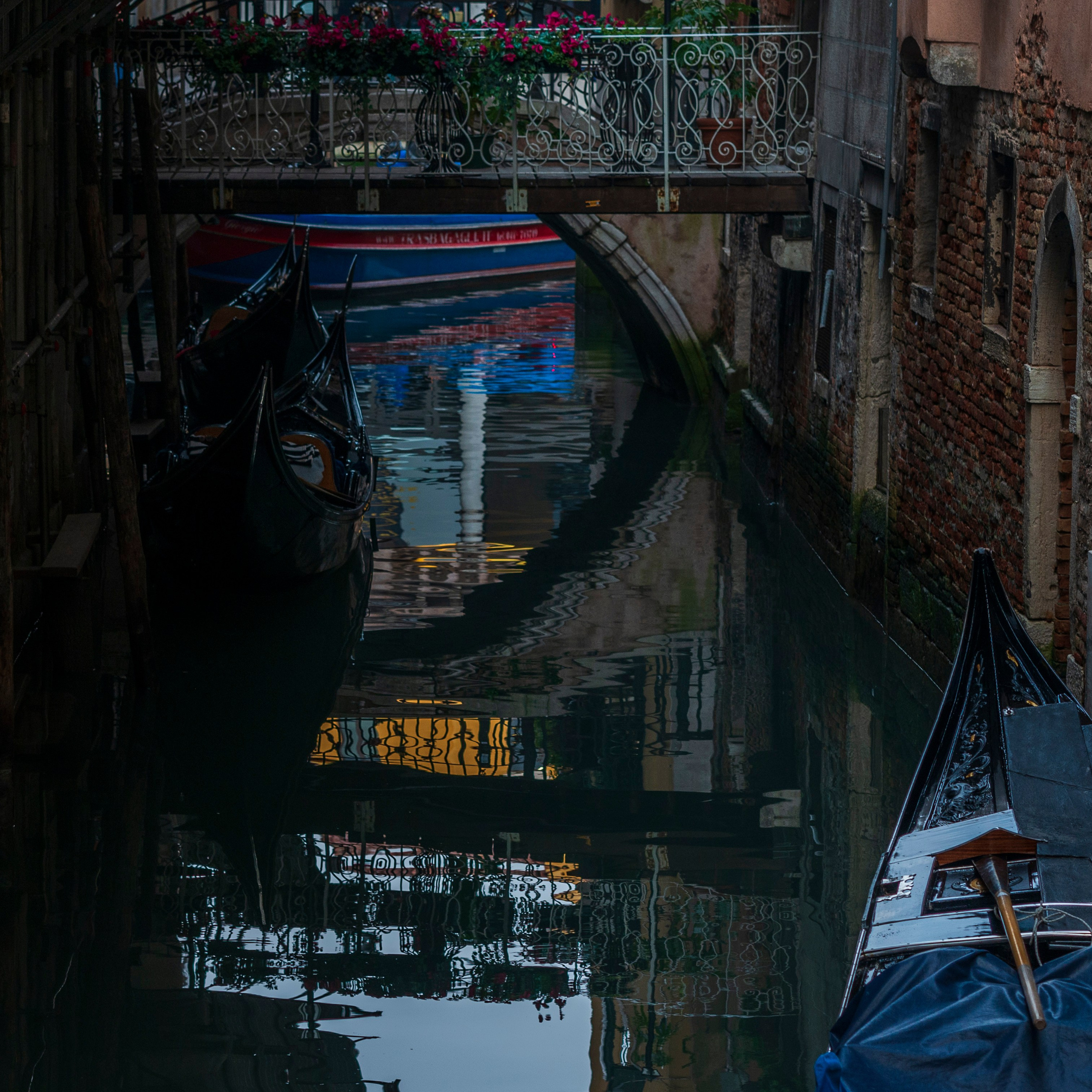 Элегантная Венеция