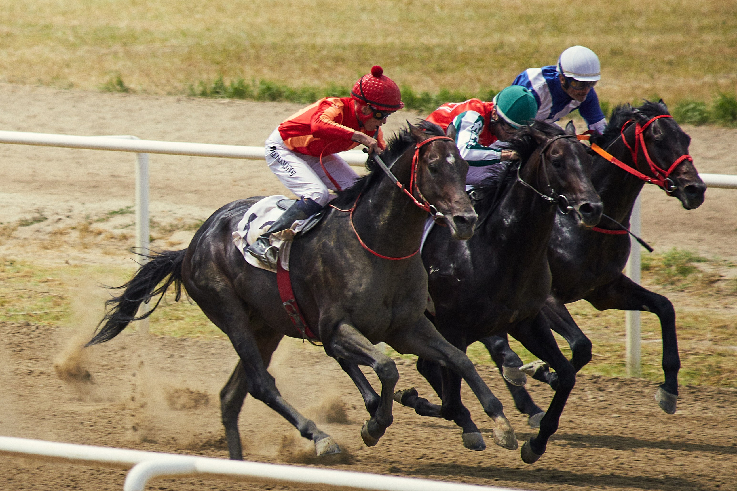 Скачки. Фотограф Юлия Маринина