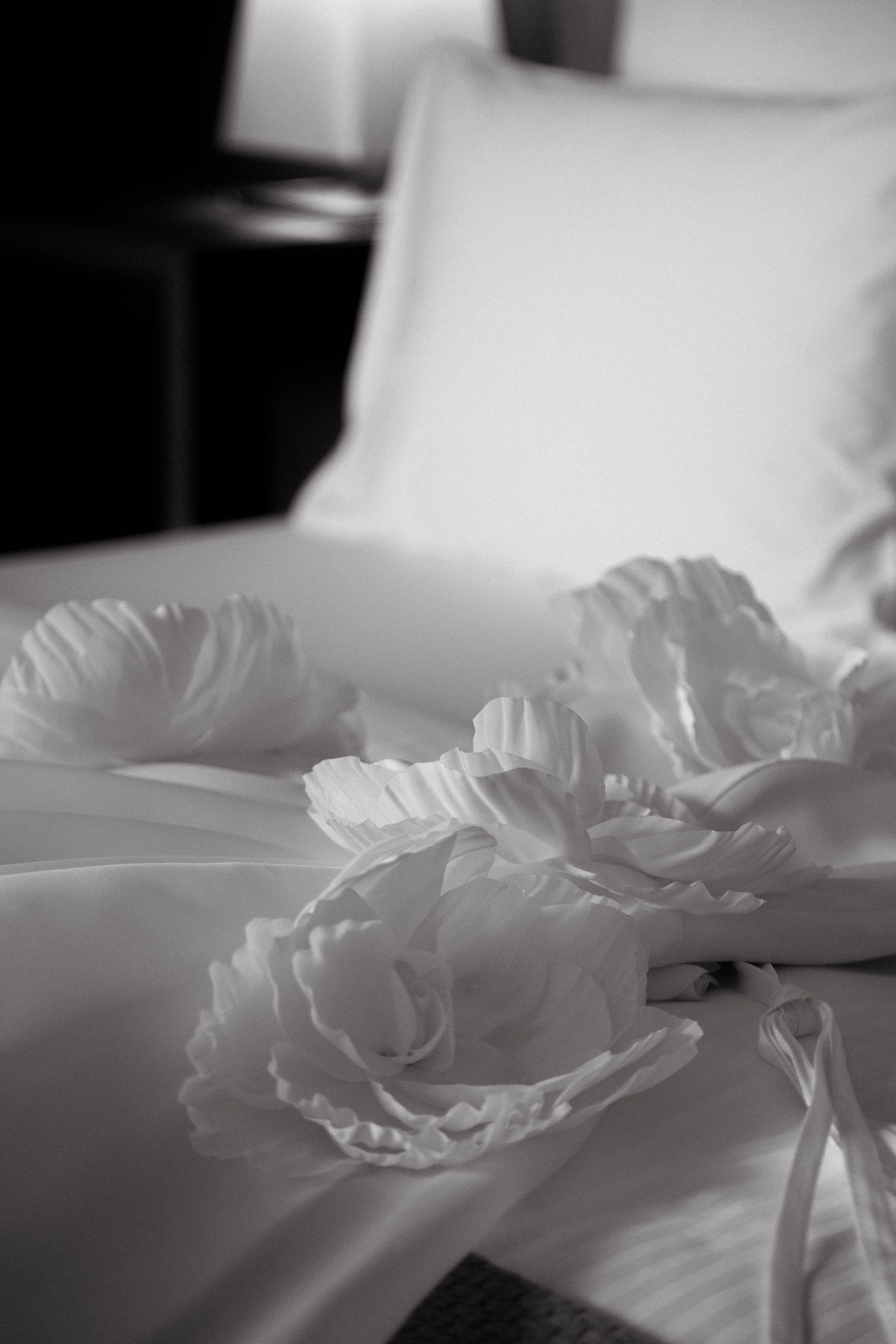 Даниил & Евгения. Свадебный фотограф ростов