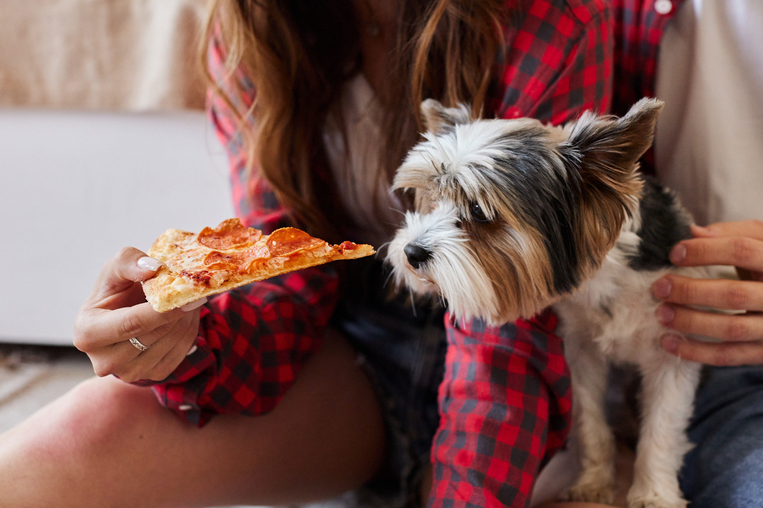 111. Свадебная, репортажная фотосъемка и видеосъемка в Минске. Илья и Юлия Ширмановы. Фотограф | Видеограф | Минск