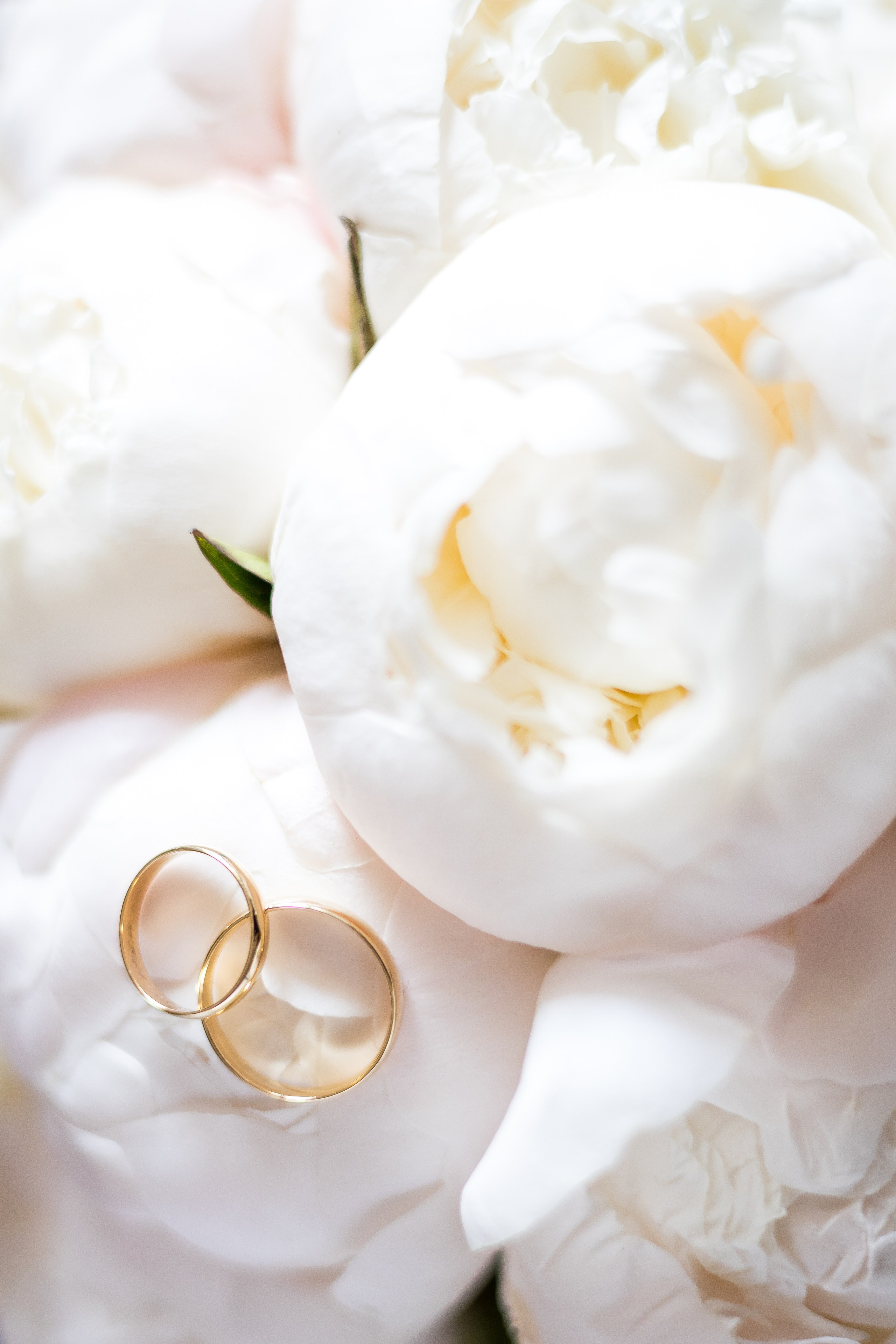 Роман и Елена. Фотограф FOTOBANKA