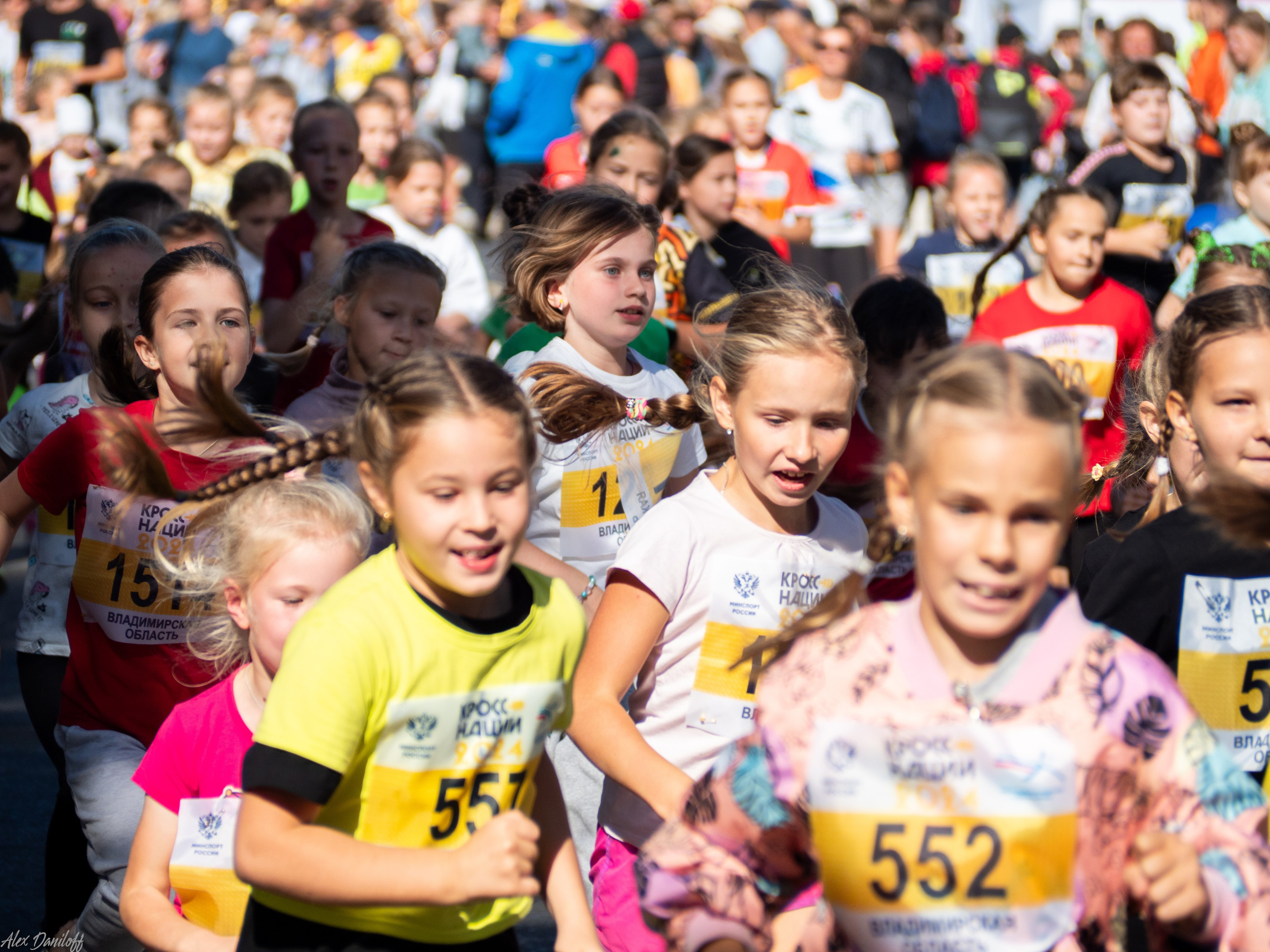 Кросс нации 2024. Муром-Инфо. Новости культуры, образования, спорта в городе Муром