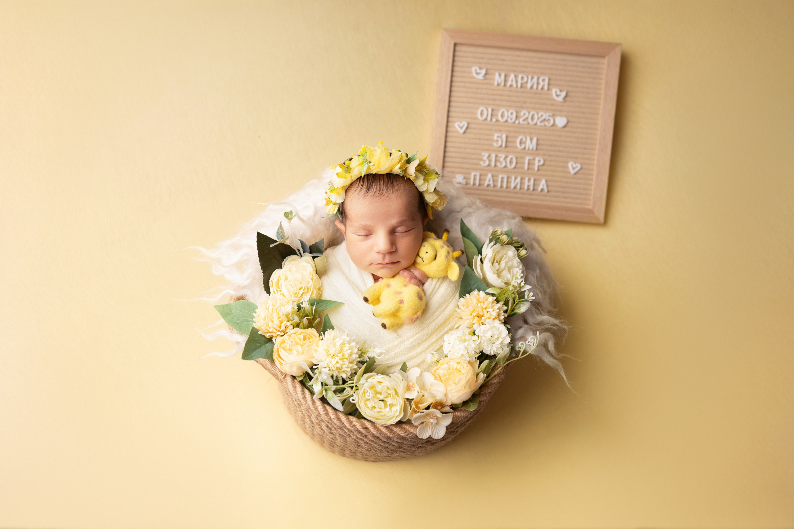 Newborn девочки. Фотограф новорожденных Модяева Ирина