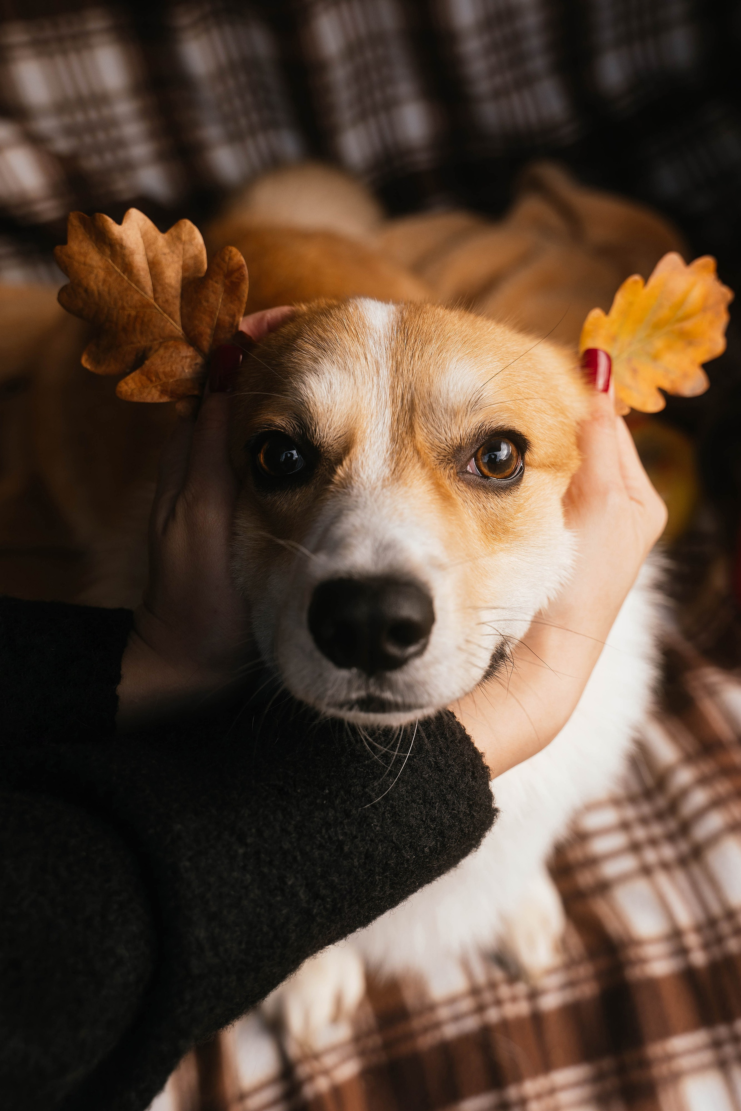 Настя, Рома, Лера и Макки. Свадебный, семейный фотограф в Рязани Лена Брант