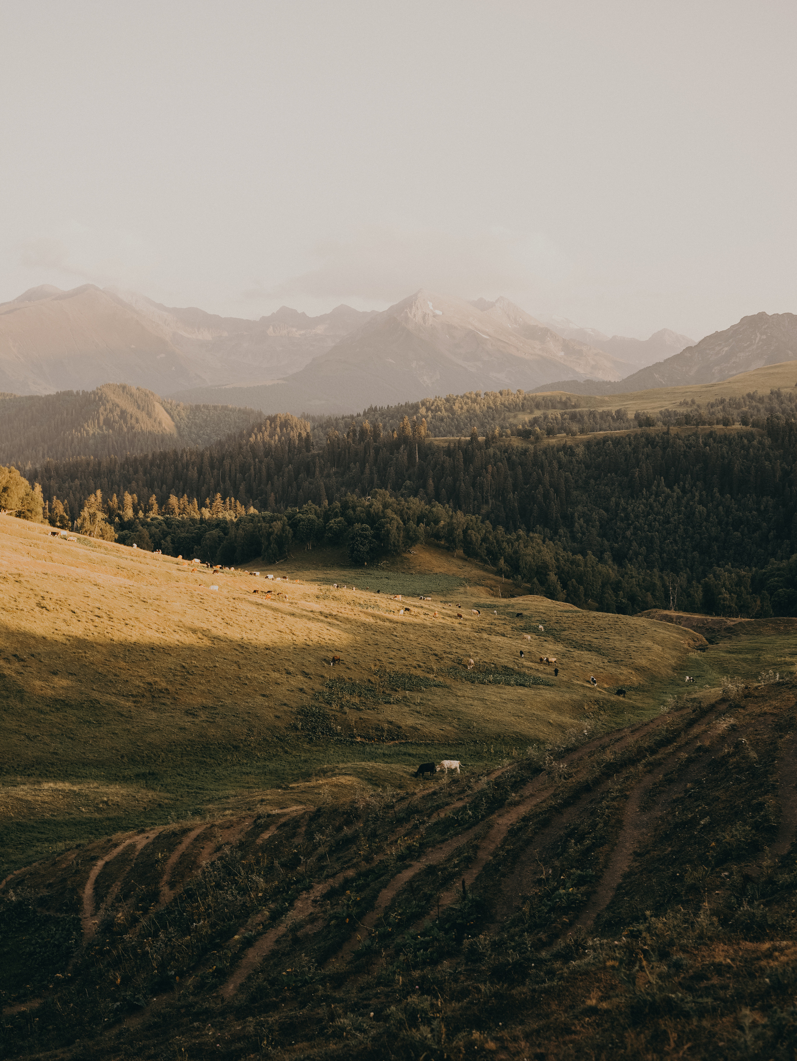 Фотограф, фототур,  фотосессия Архыз