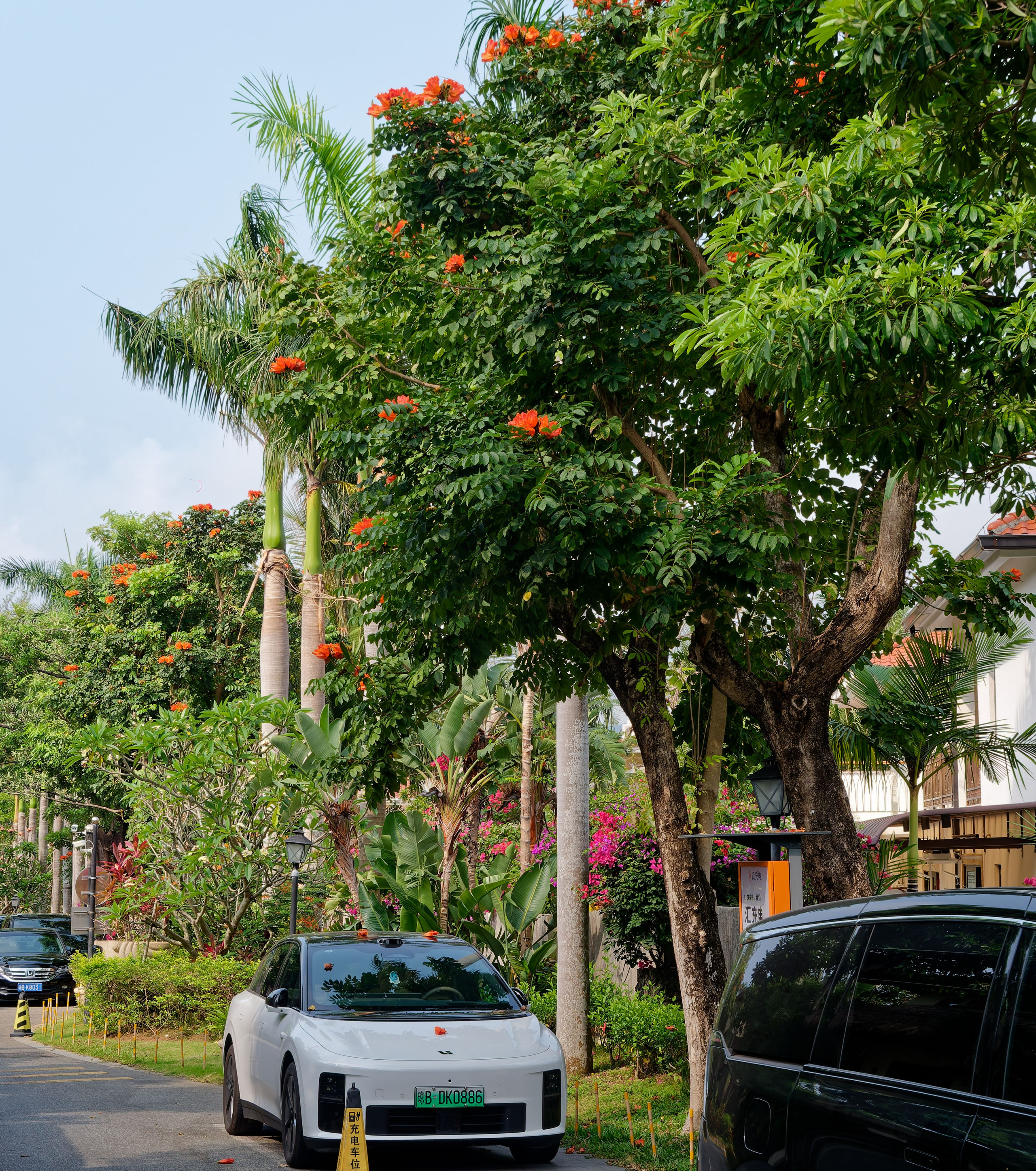 Хайнань 2026, отель «Stony Brook Villa Jianguo Resort Sanya 4*». Фотопрогулки по Миру