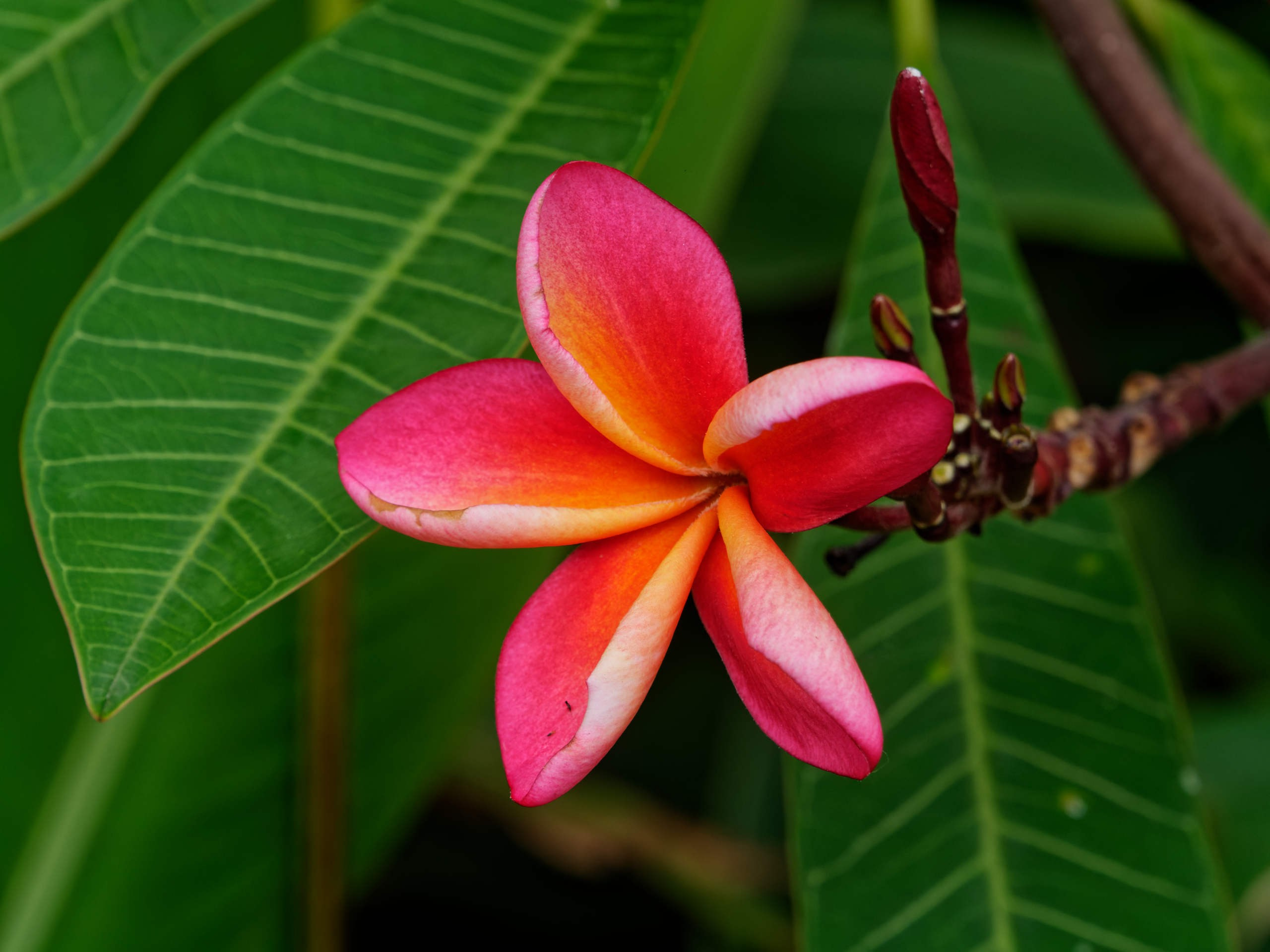 Нячанг 2025 (4). Избранные фотографии