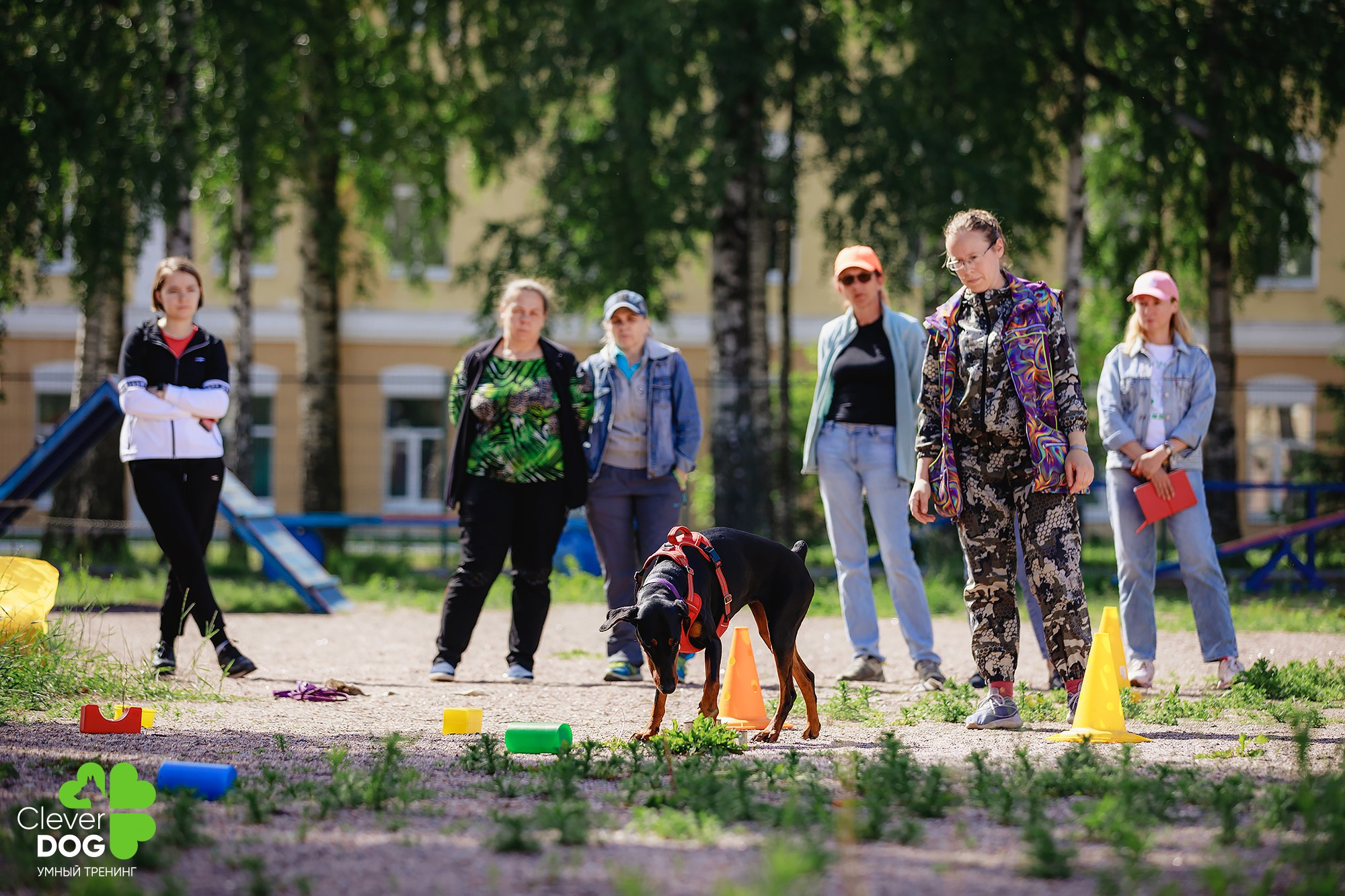 Семинар по поиску запаха с Иваном Ломовым, организатор CleverDog, СПб. Фотограф-анималист Mary Mart — Москва, Питер