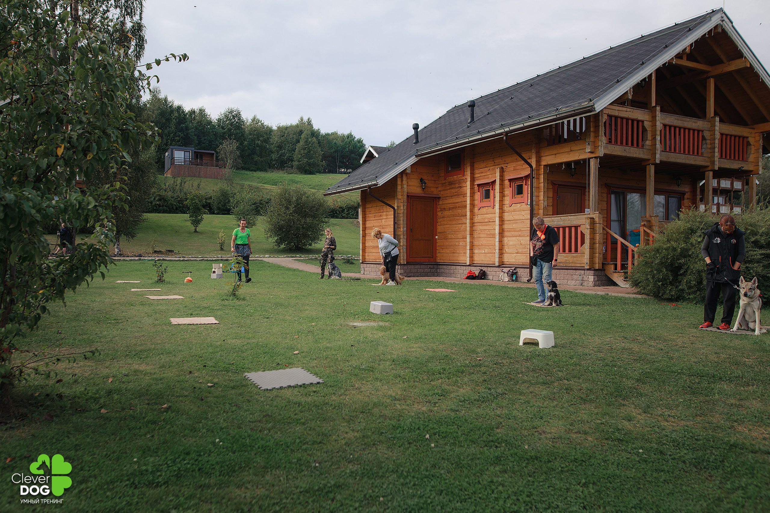 Кинологический лагерь CleverDog, 2024. Фотограф-анималист Mary Mart — Москва, Питер