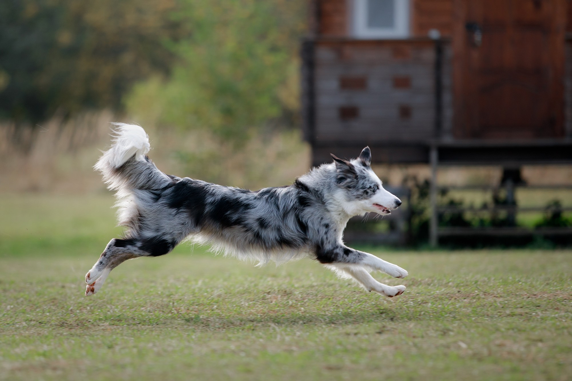 Лагерь по ОБД с Инной Баженовой. Фотограф-анималист Mary Mart — Москва, Питер