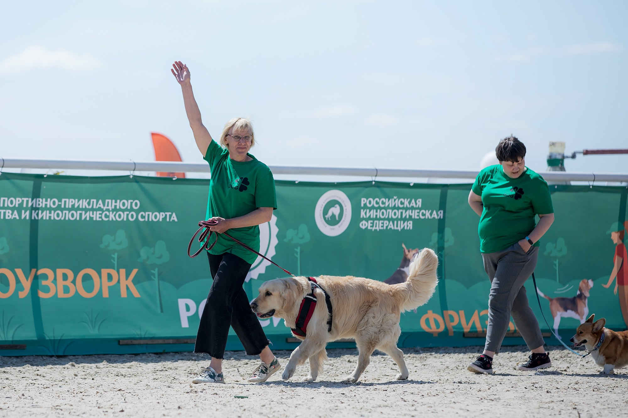 Показательные выступления по NoseWork на выставке «Россия». Фотограф-анималист Mary Mart — Москва, Питер