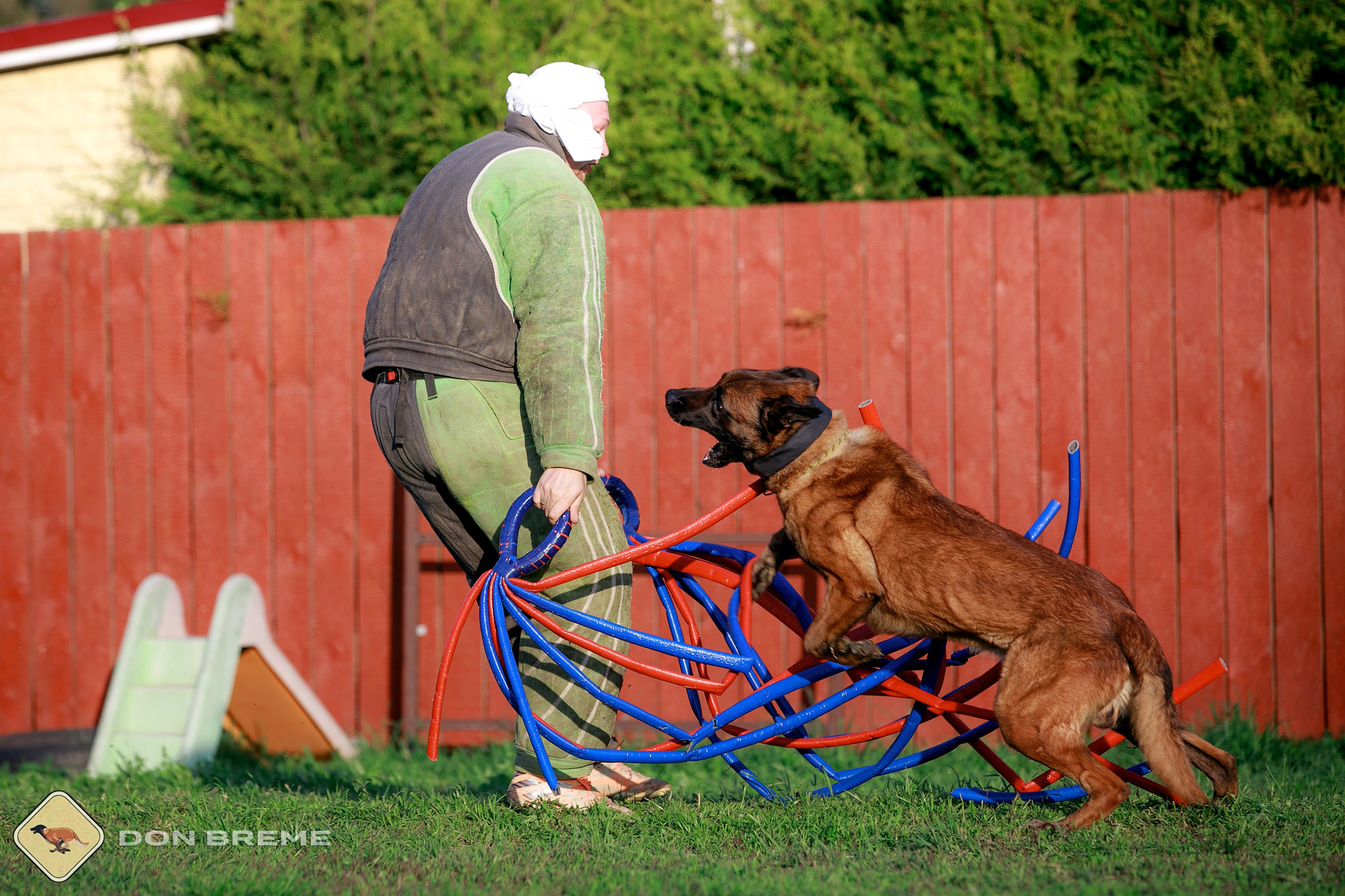 Семинар для фигурантов, день 4. Фотограф-анималист Mary Mart — Москва, Питер