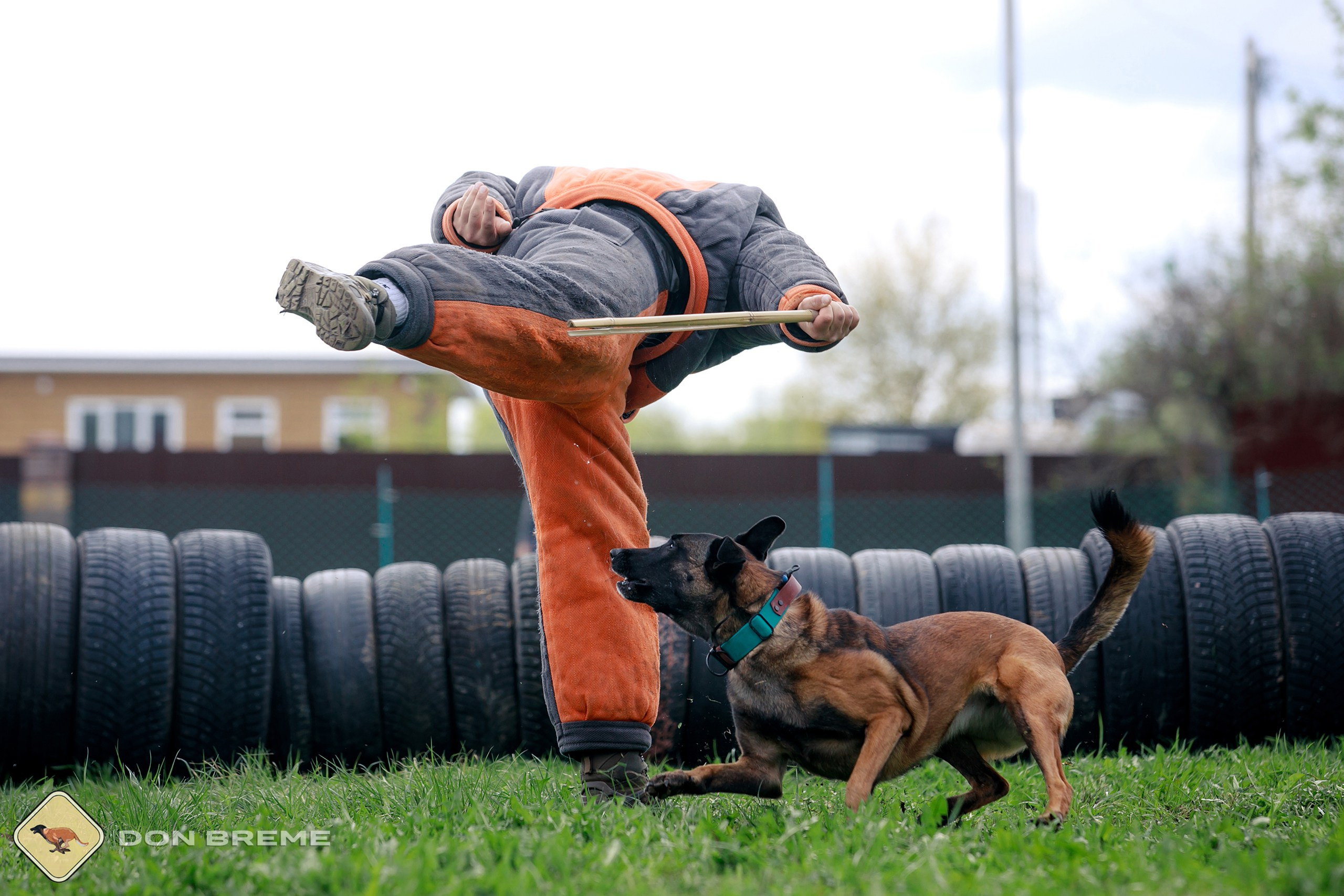 Семинар для фигурантов, день 2. Фотограф-анималист Mary Mart — Москва, Питер