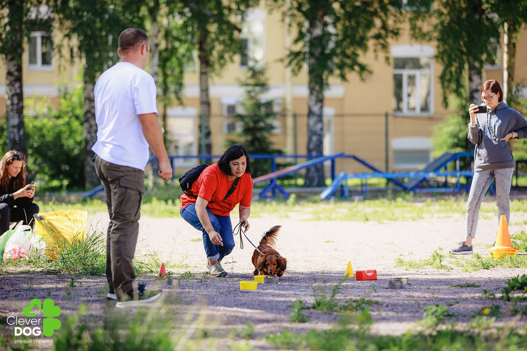 Семинар по поиску запаха с Иваном Ломовым, организатор CleverDog, СПб. Фотограф-анималист Mary Mart — Москва, Питер