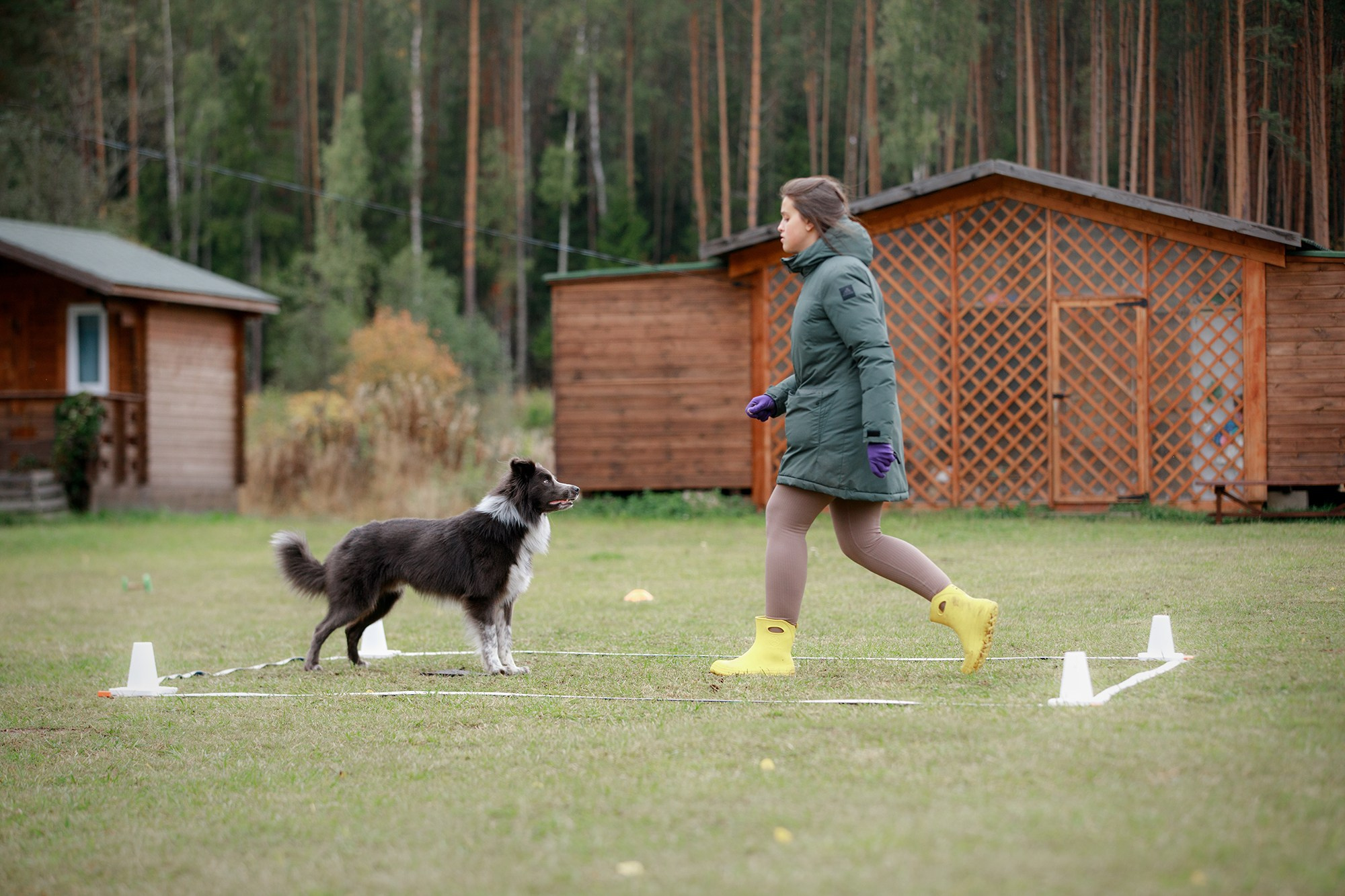 Лагерь по ОБД с Инной Баженовой. Фотограф-анималист Mary Mart — Москва, Питер