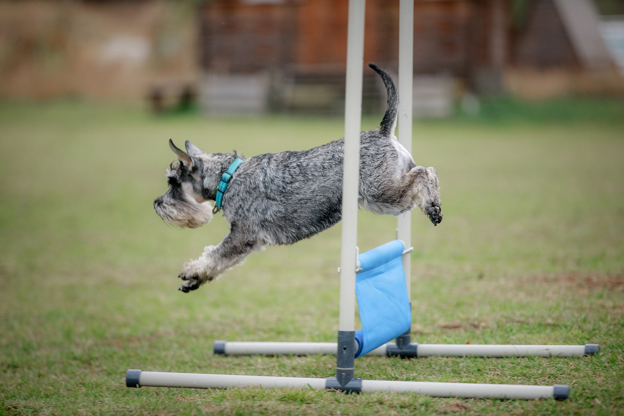 Лагерь по ОБД с Инной Баженовой. Фотограф-анималист Mary Mart — Москва, Питер