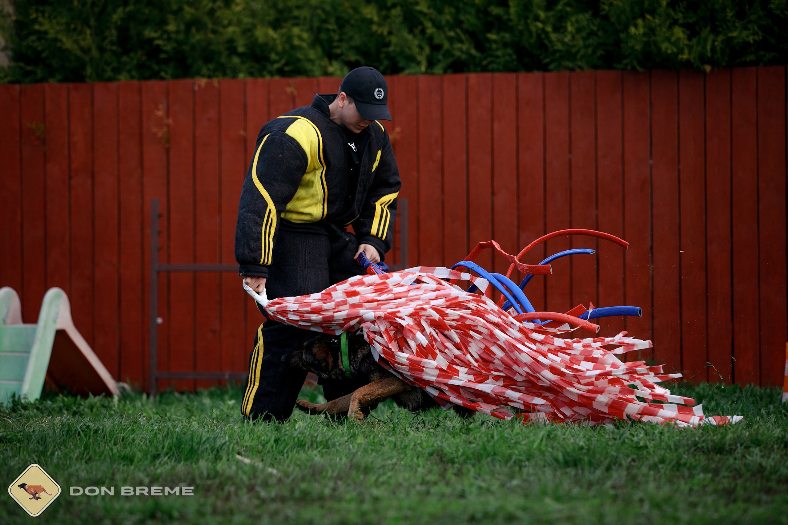 Семинар для фигурантов, день 2. Фотограф-анималист Mary Mart — Москва, Питер