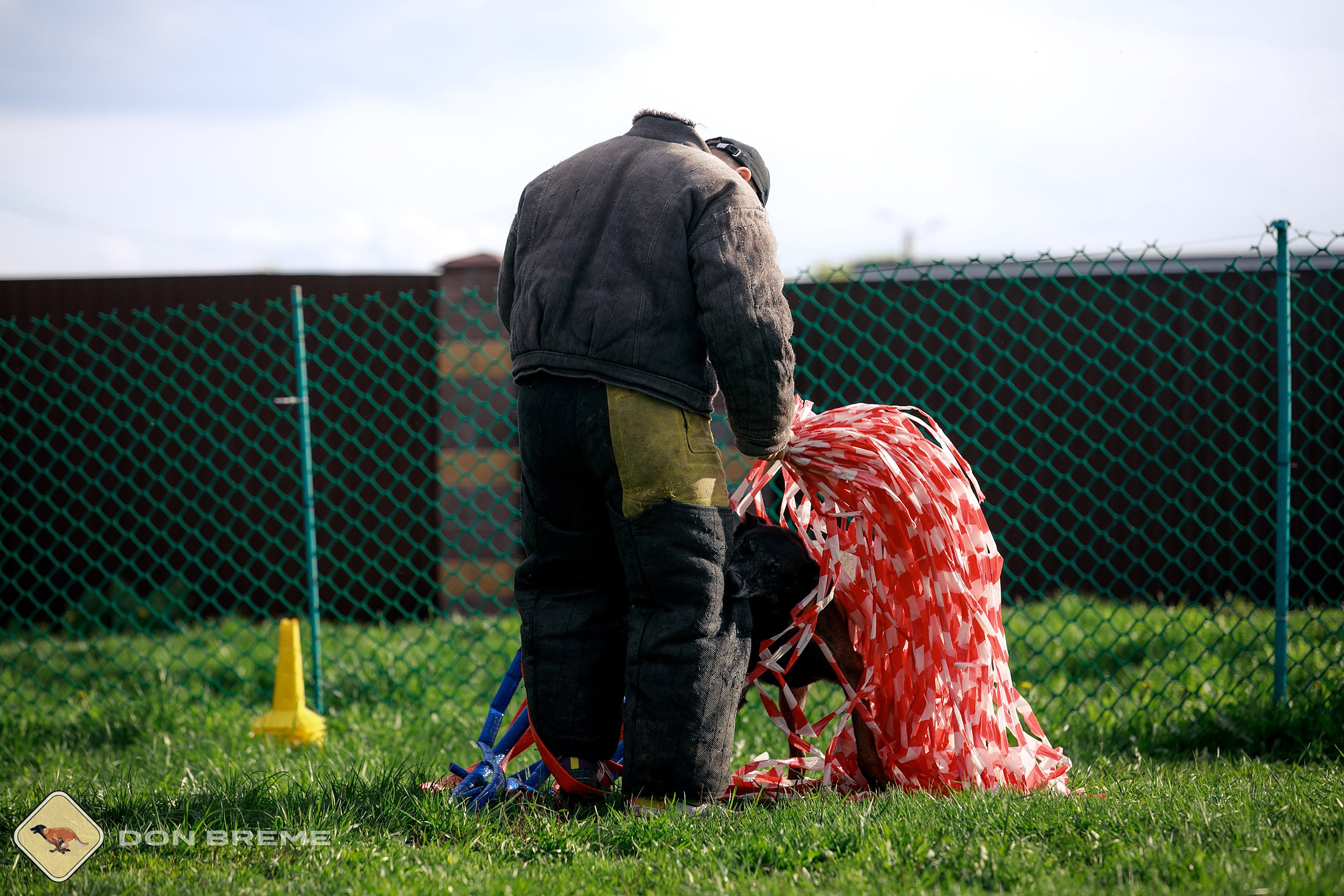 Семинар для фигурантов, день 2. Фотограф-анималист Mary Mart — Москва, Питер