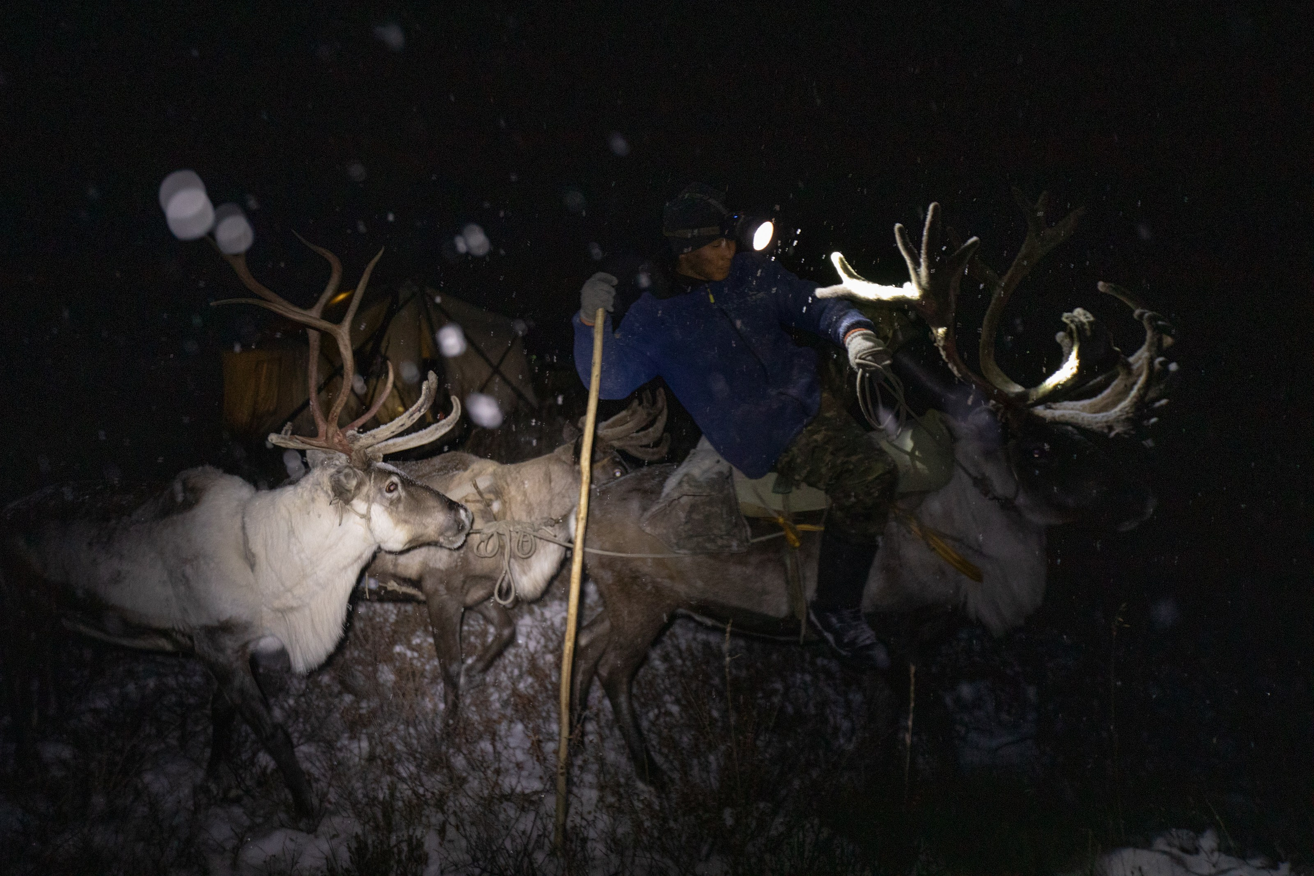 Не забудь накормить озеро. Natalya Madilyan