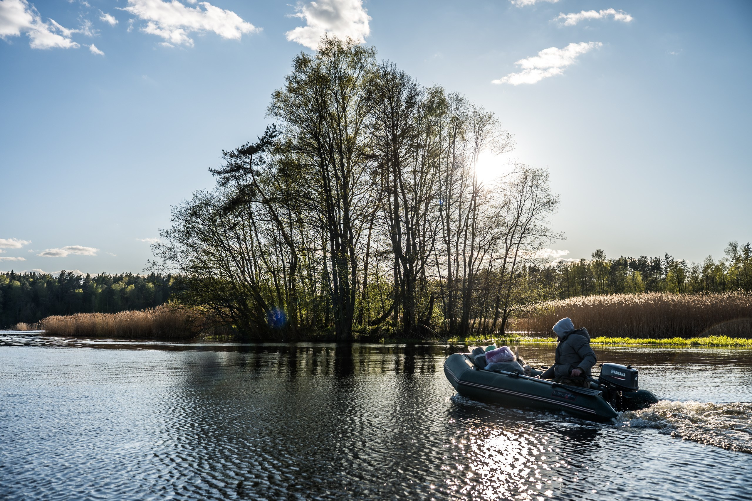 Владимир Зоологов — Домашняя страничка