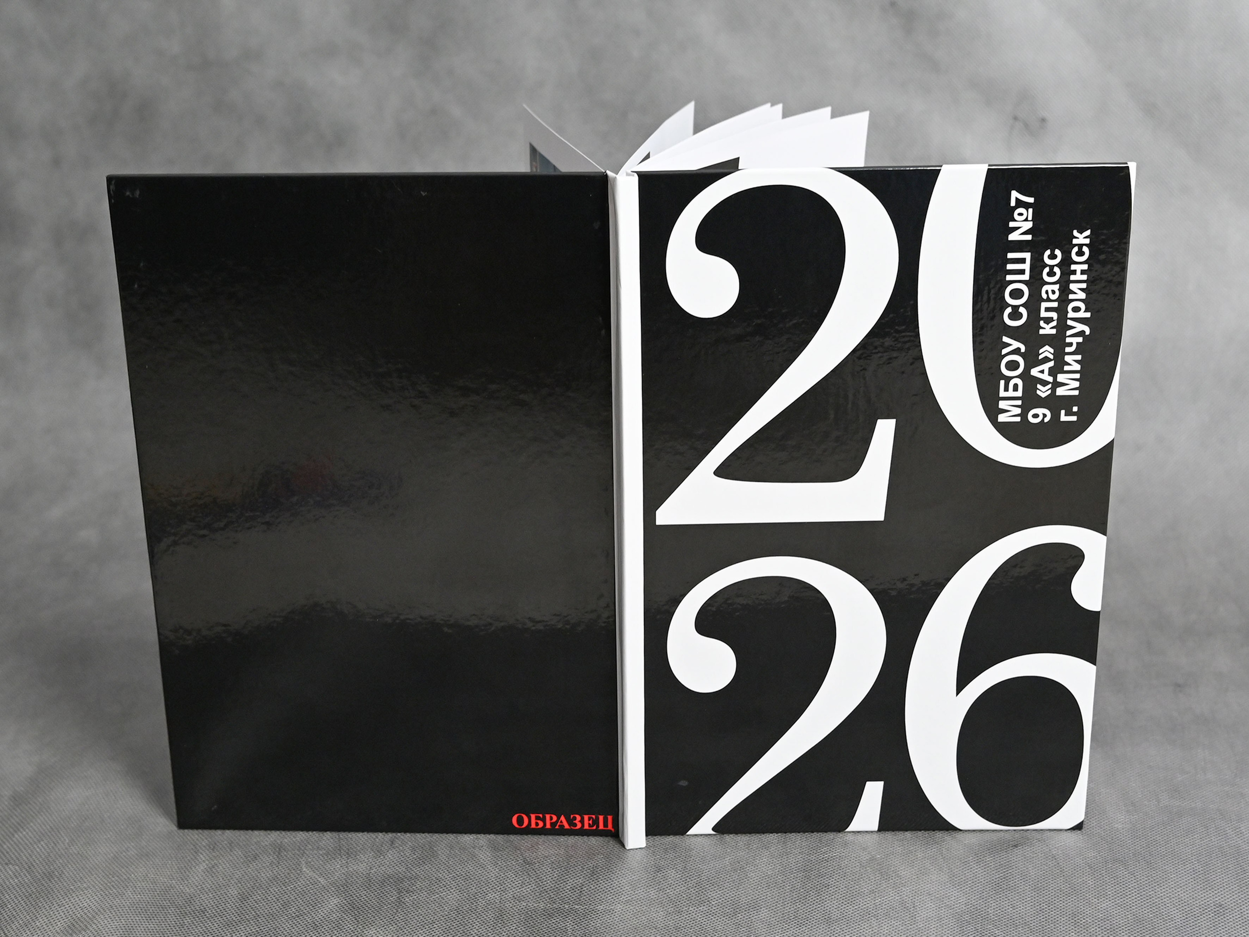 Книга с мягкими журнальными страницами 21×30см. Количество страниц — 16. Цена -2500р.