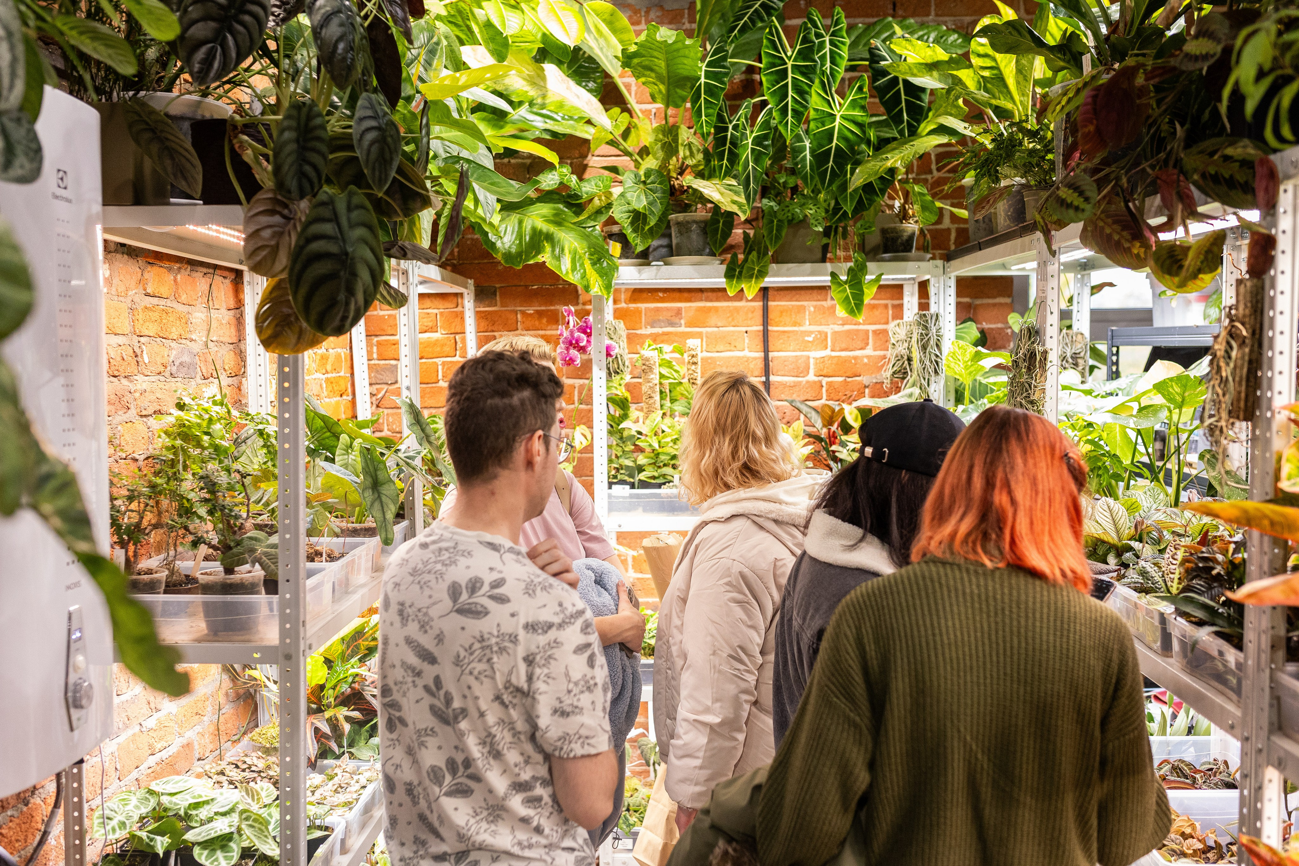 GreenRare ярмарка 2024. Александра Куликова фотограф, Москва