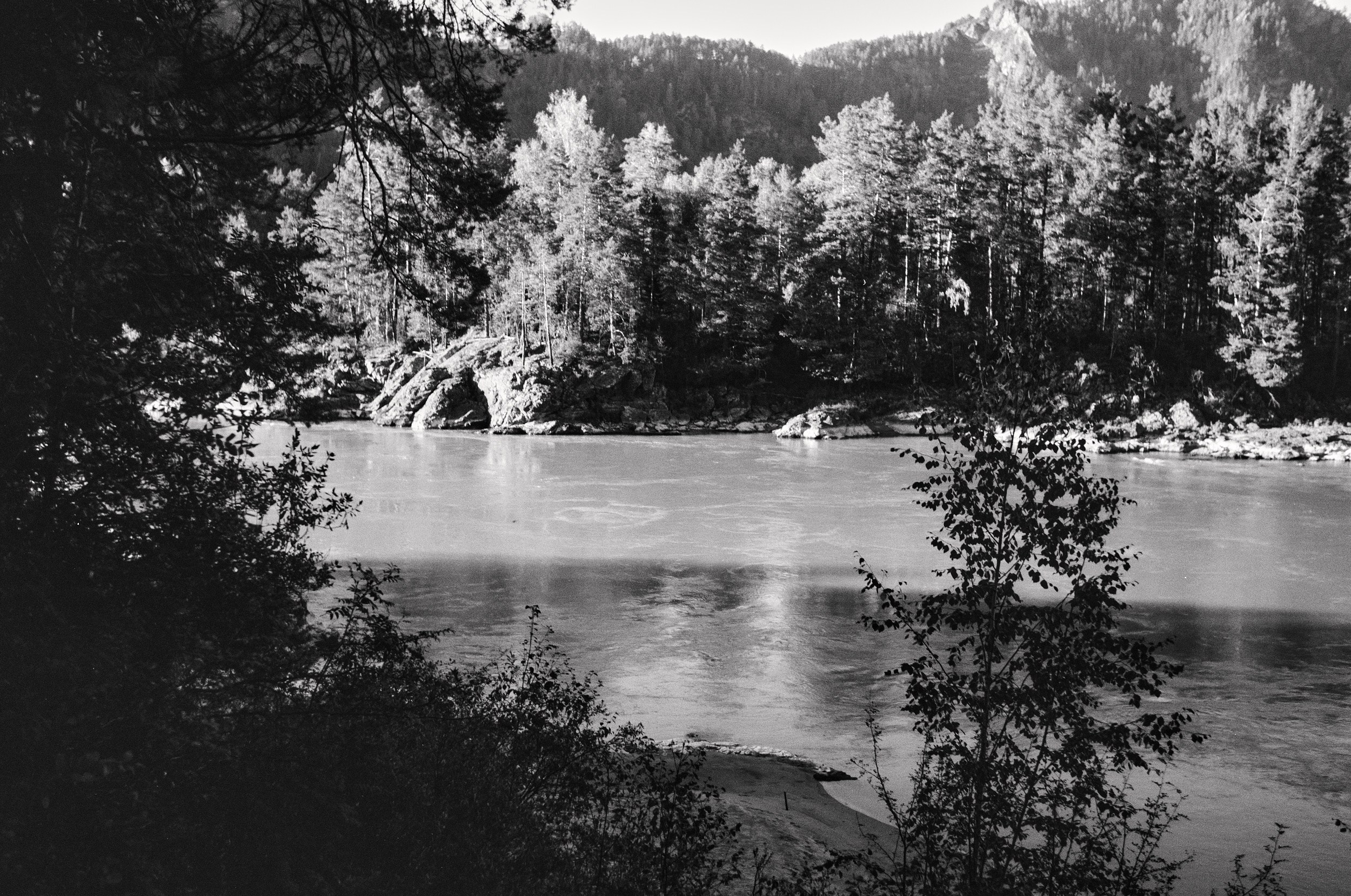 Altai. Grushevyy Tsvet