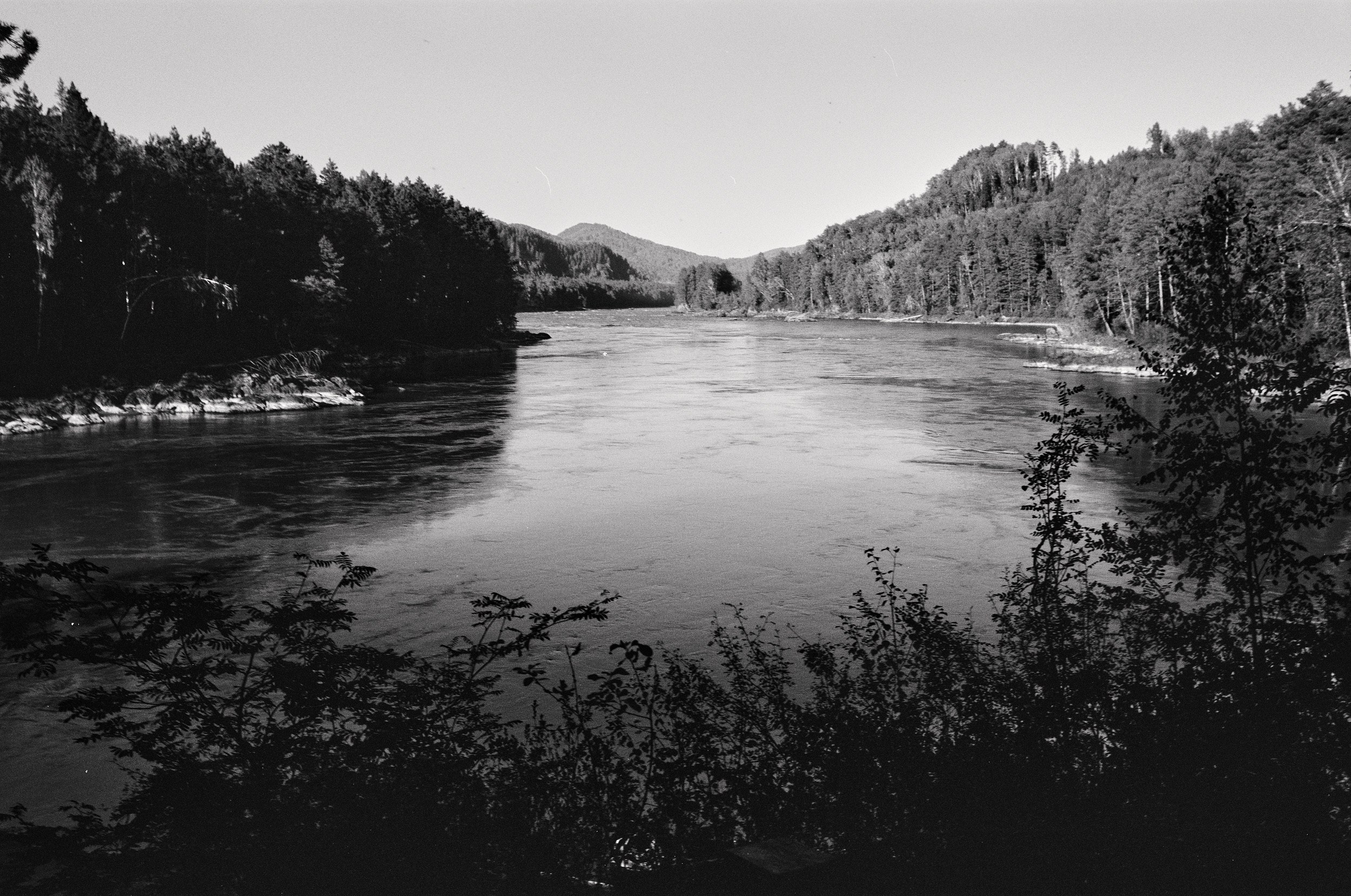 Altai. Grushevyy Tsvet
