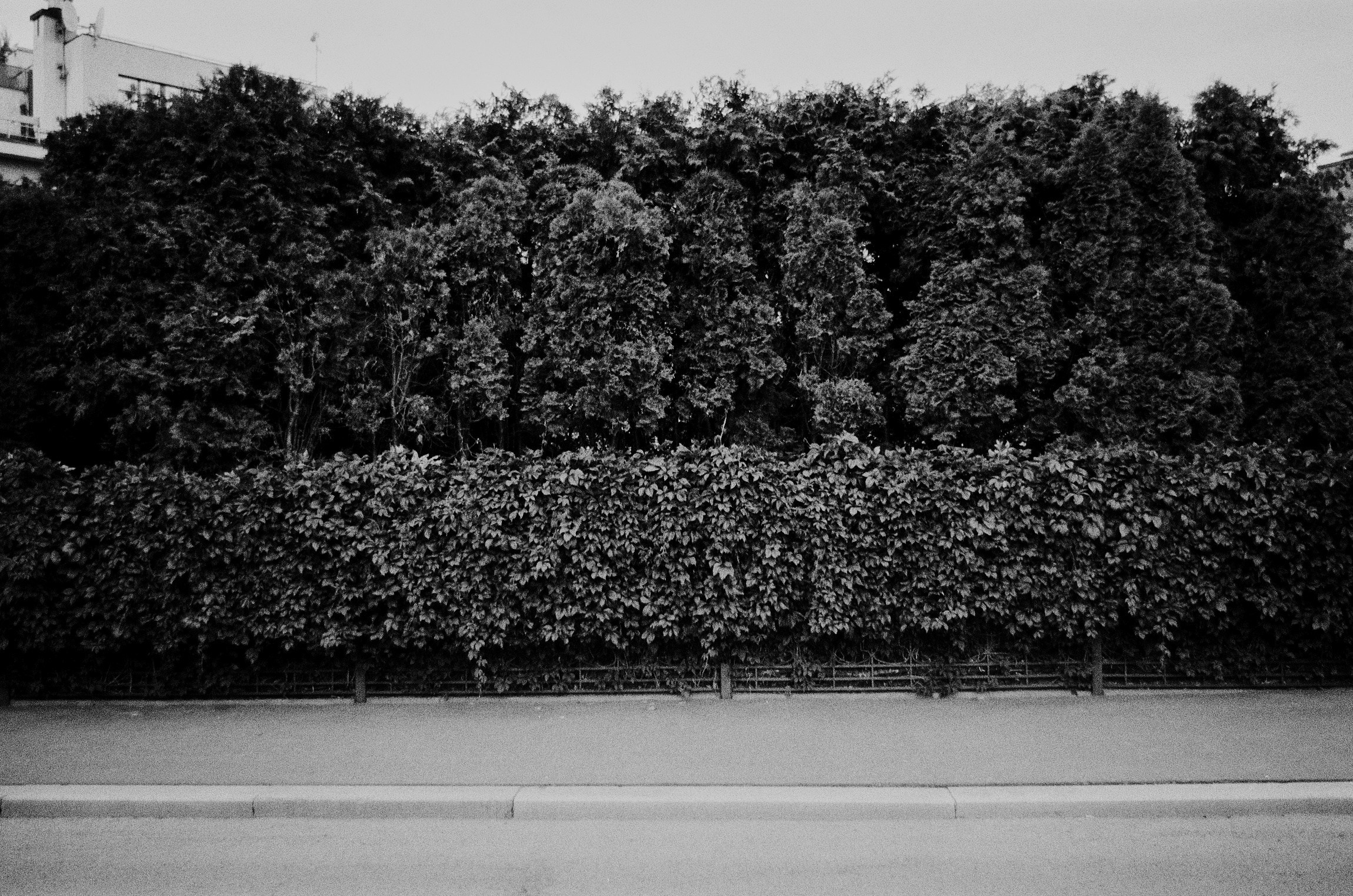A walk around Moscow. Ostozhenka. The Other Pavel Potseluev — film photography and mastery of meat business