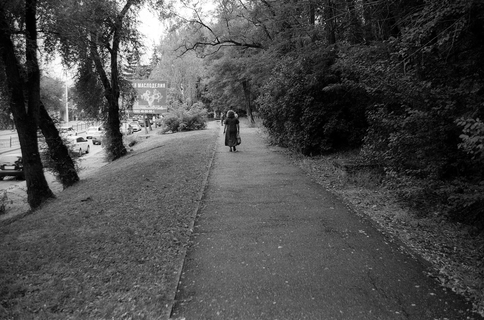 Пятигорск. Другой Павел Поцелуев. Фотограф в 2025 году