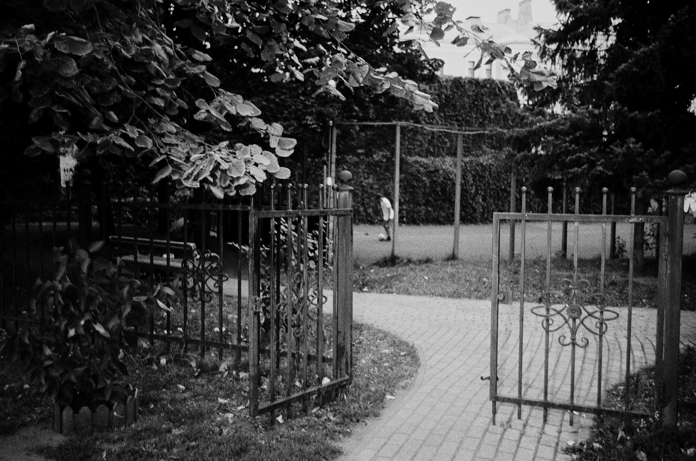 A walk around Moscow. Ostozhenka. The Other Pavel Potseluev — film photography and mastery of meat business