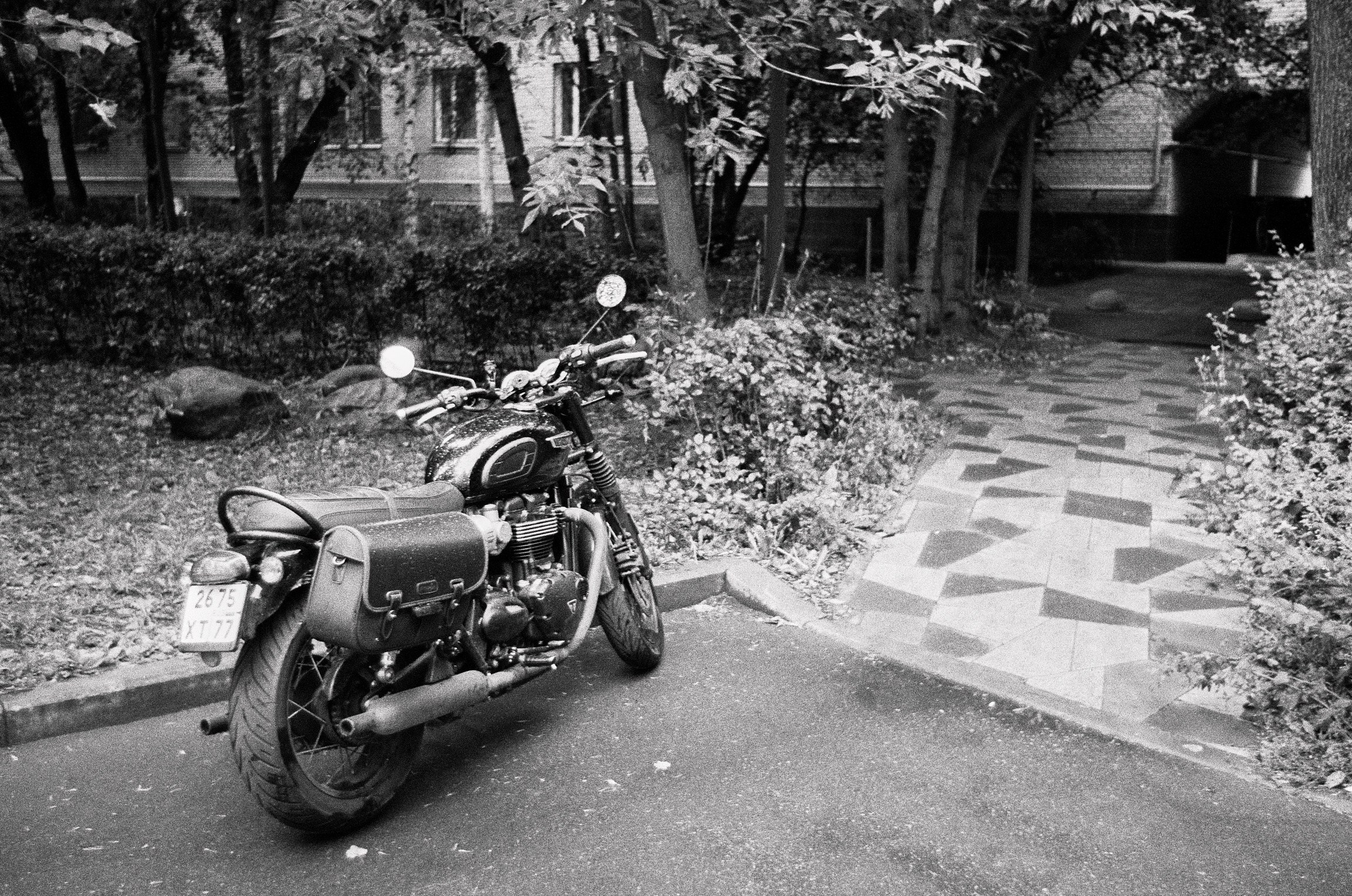 A walk around Moscow. Ostozhenka. The Other Pavel Potseluev — film photography and mastery of meat business