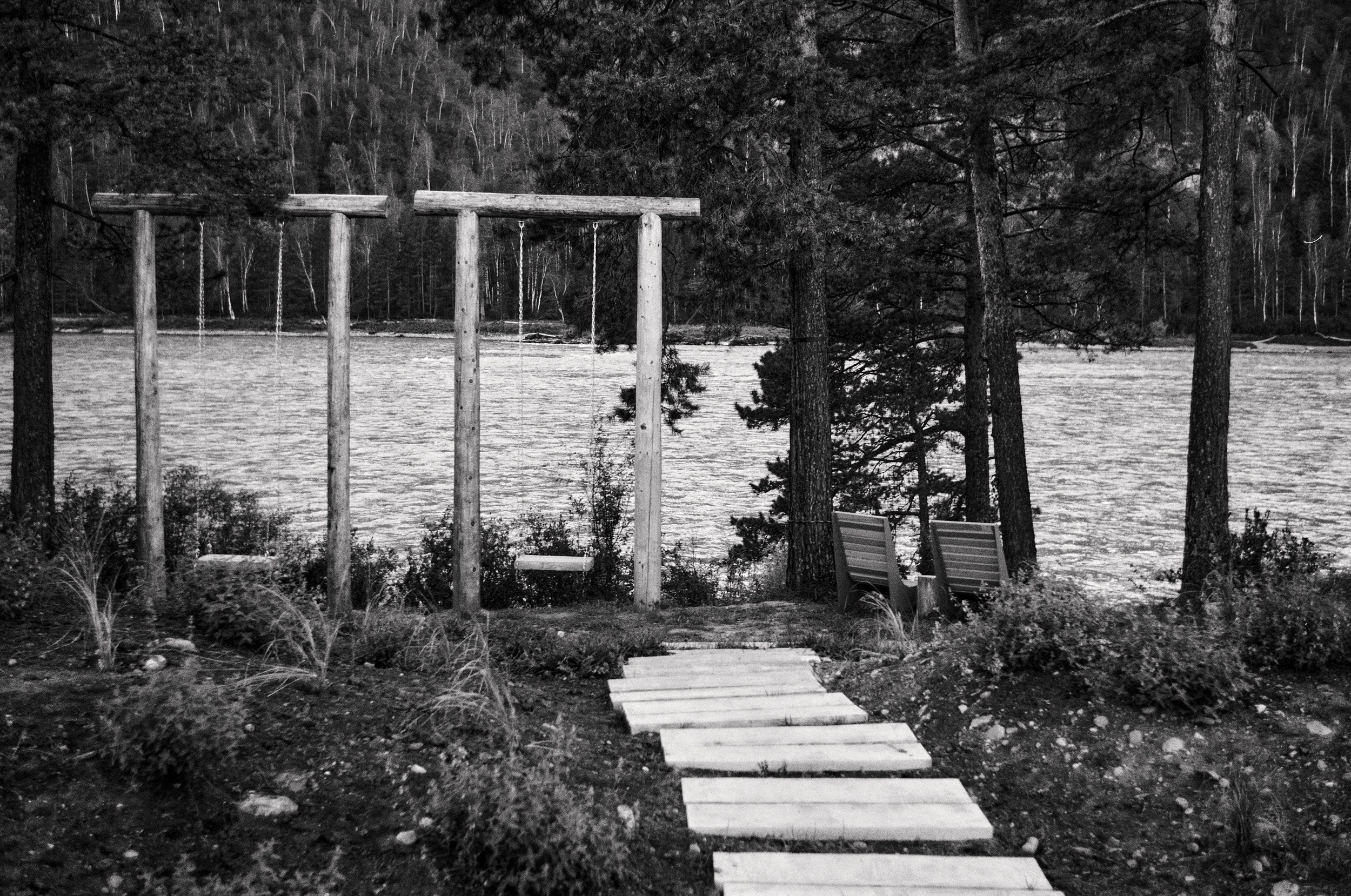 Altai. Grushevyy Tsvet