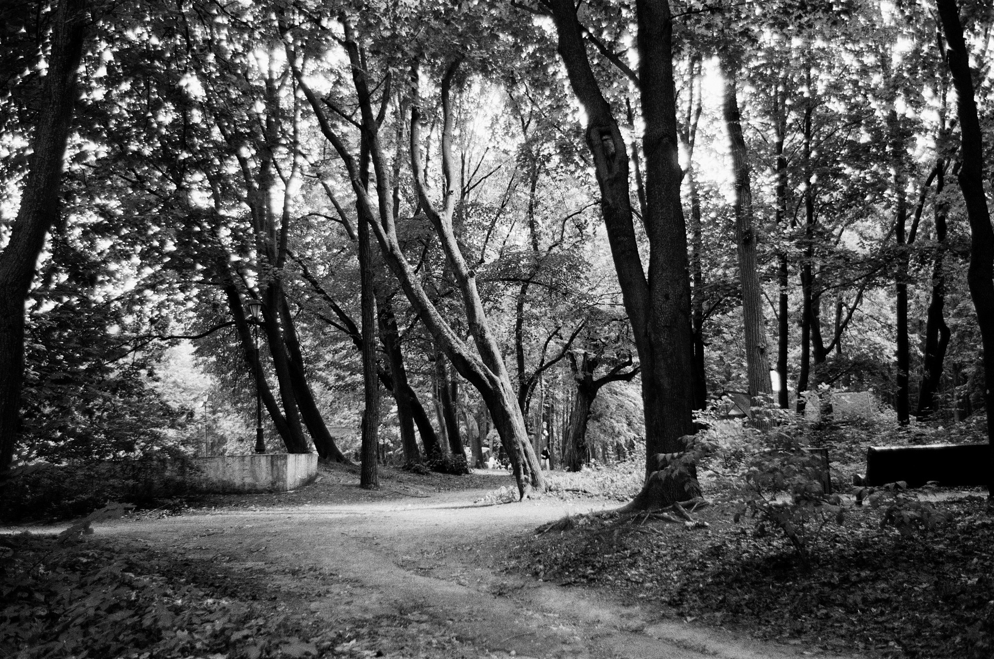 Neskuchny Garden and Ostozhenka