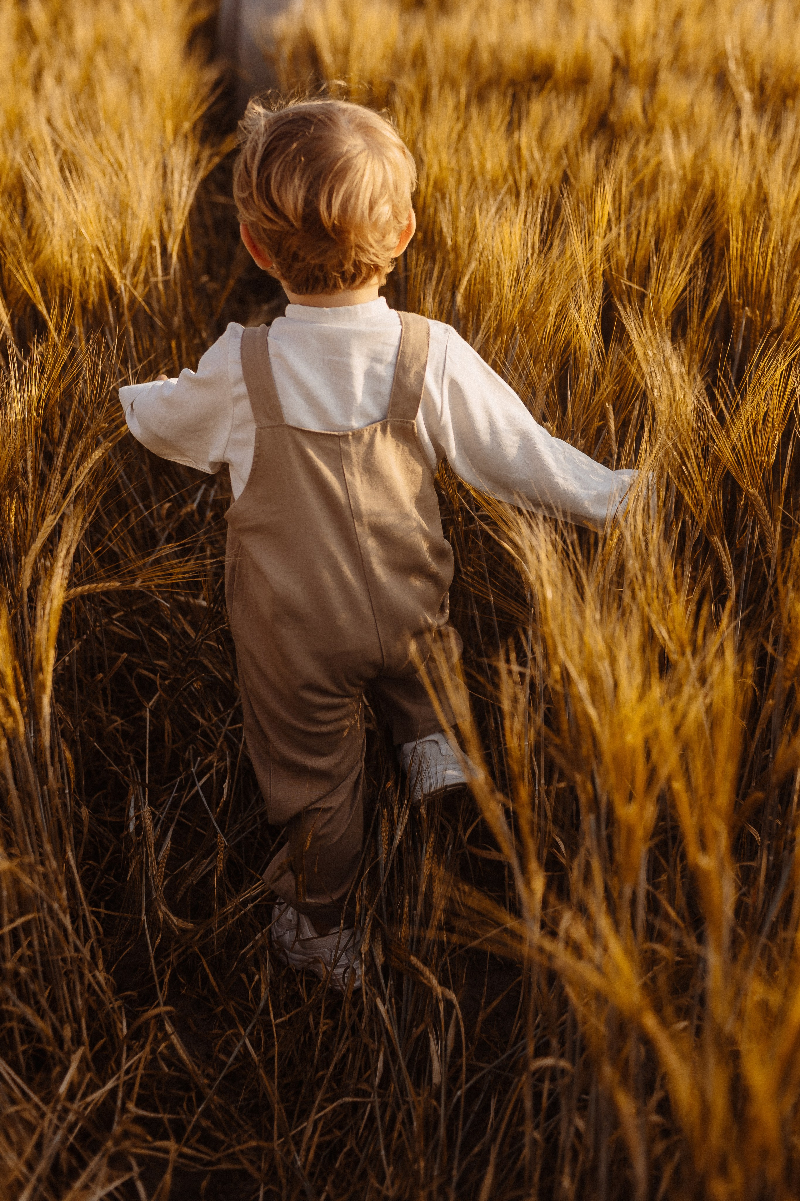 Золотое счастье. Фотограф Лодейное Поле Екатерина Герасимова в Санкт-Петербурге и Лен. области