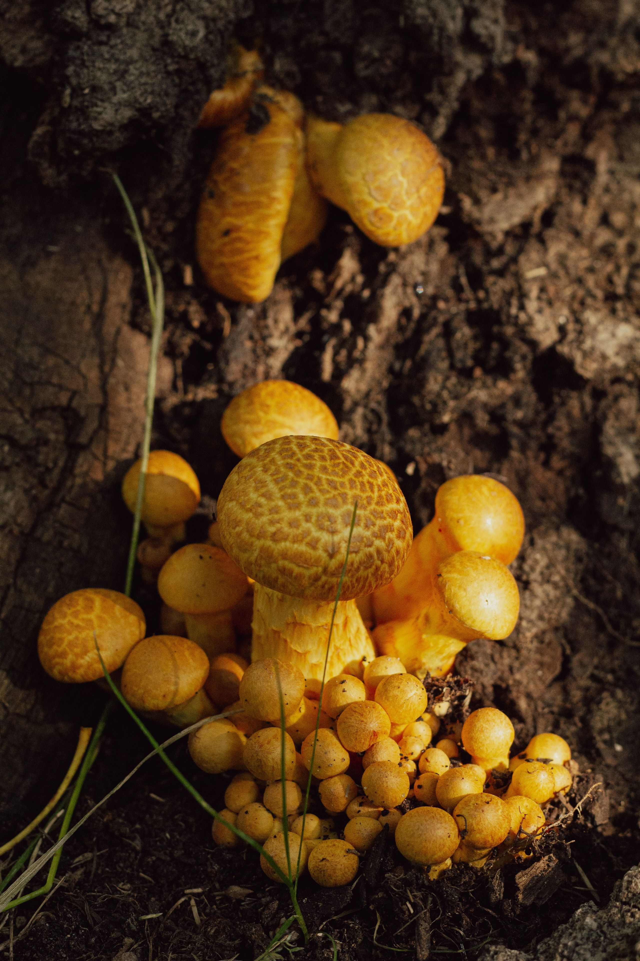 Природа. Фотограф Москва, портрет, стрит, репортаж. Художественная фотосессия