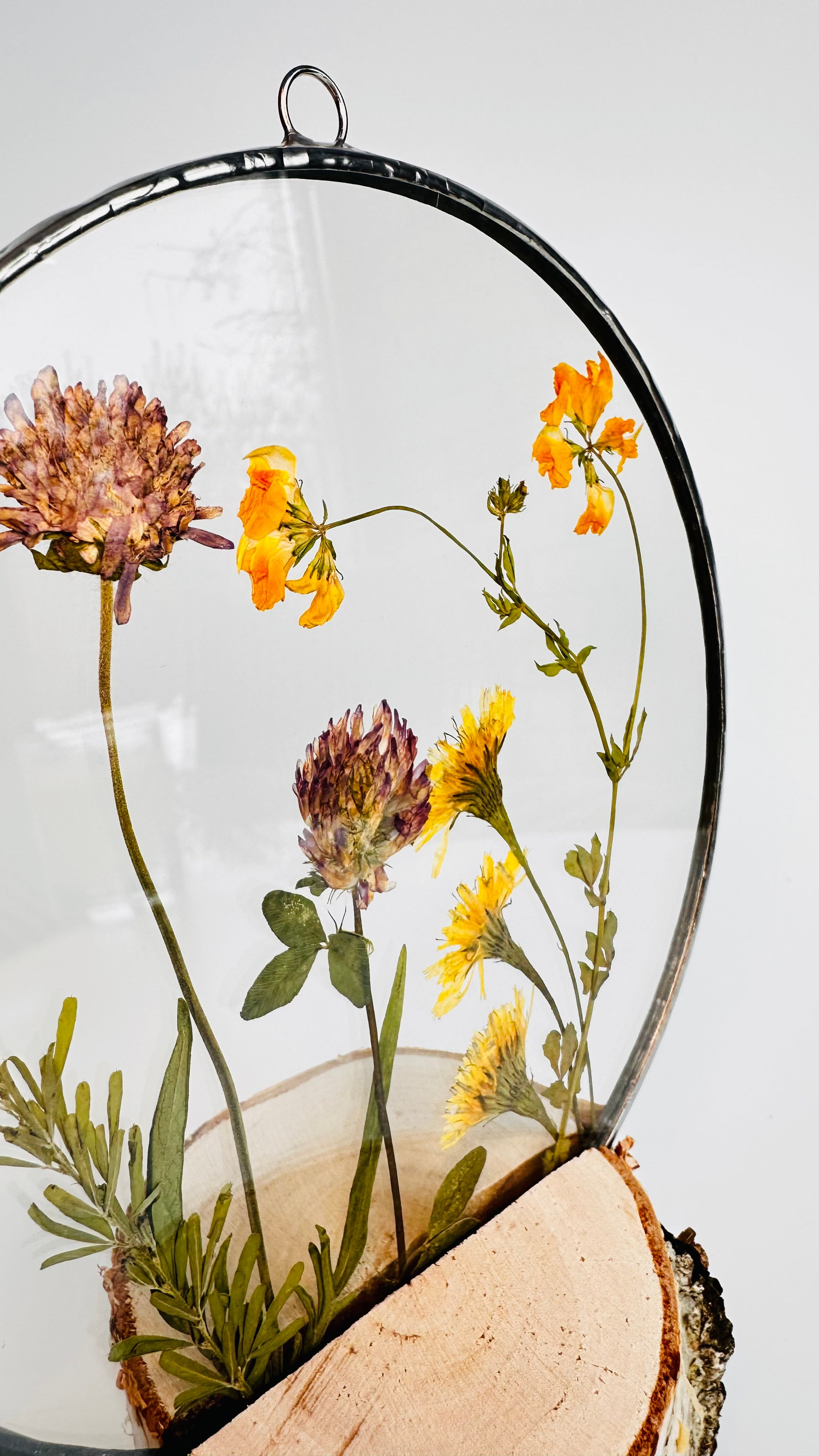 Гербарий в стекле с сухоцветами (витраж в технике тиффани). Гербарий в стекле, интерьерные панно, витражи с сухоцветами в технике тиффани