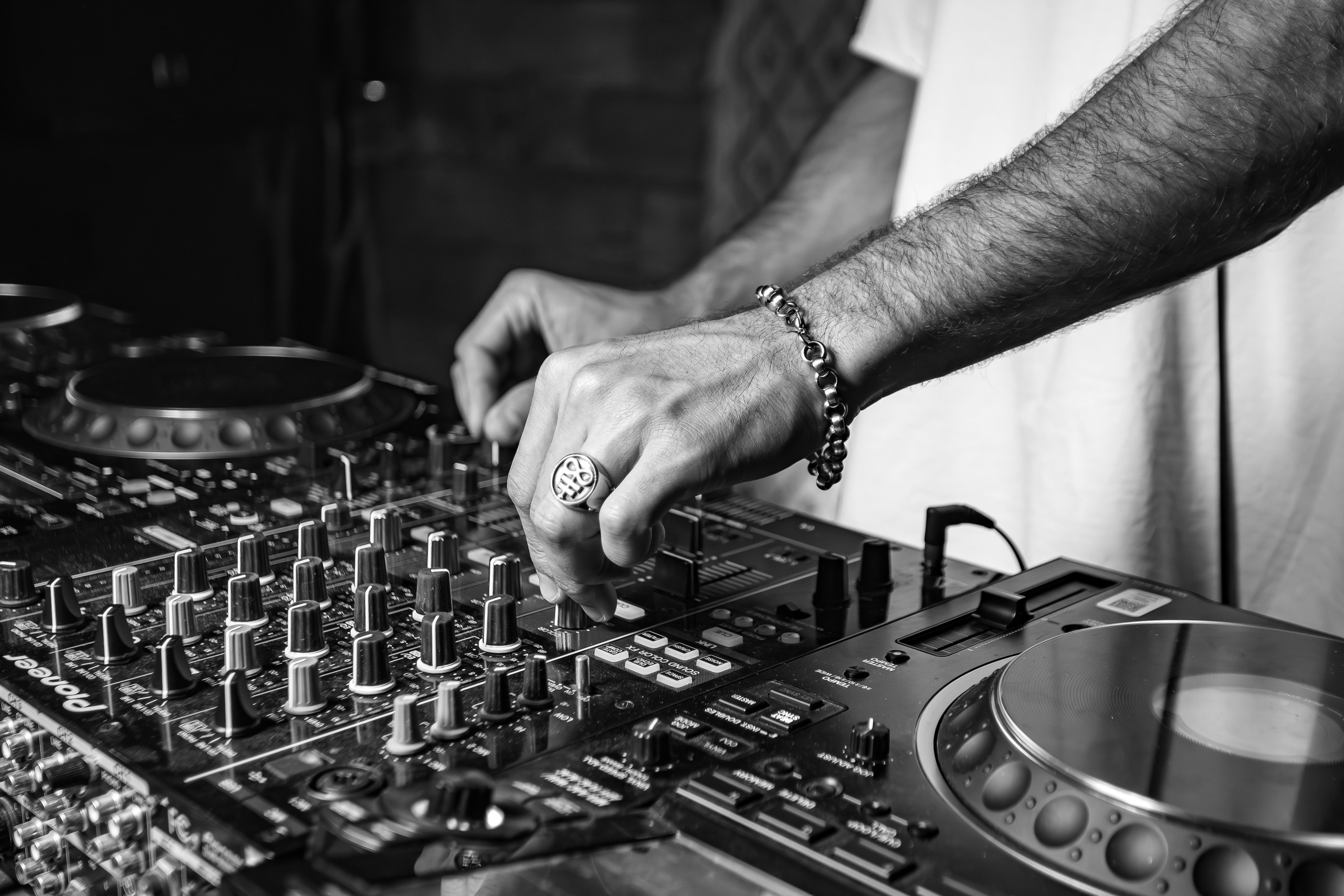 «Митя Фомин"_Чайка на пляже_Ялта_28.06.2025 г. Аминов Руслан | Фотограф